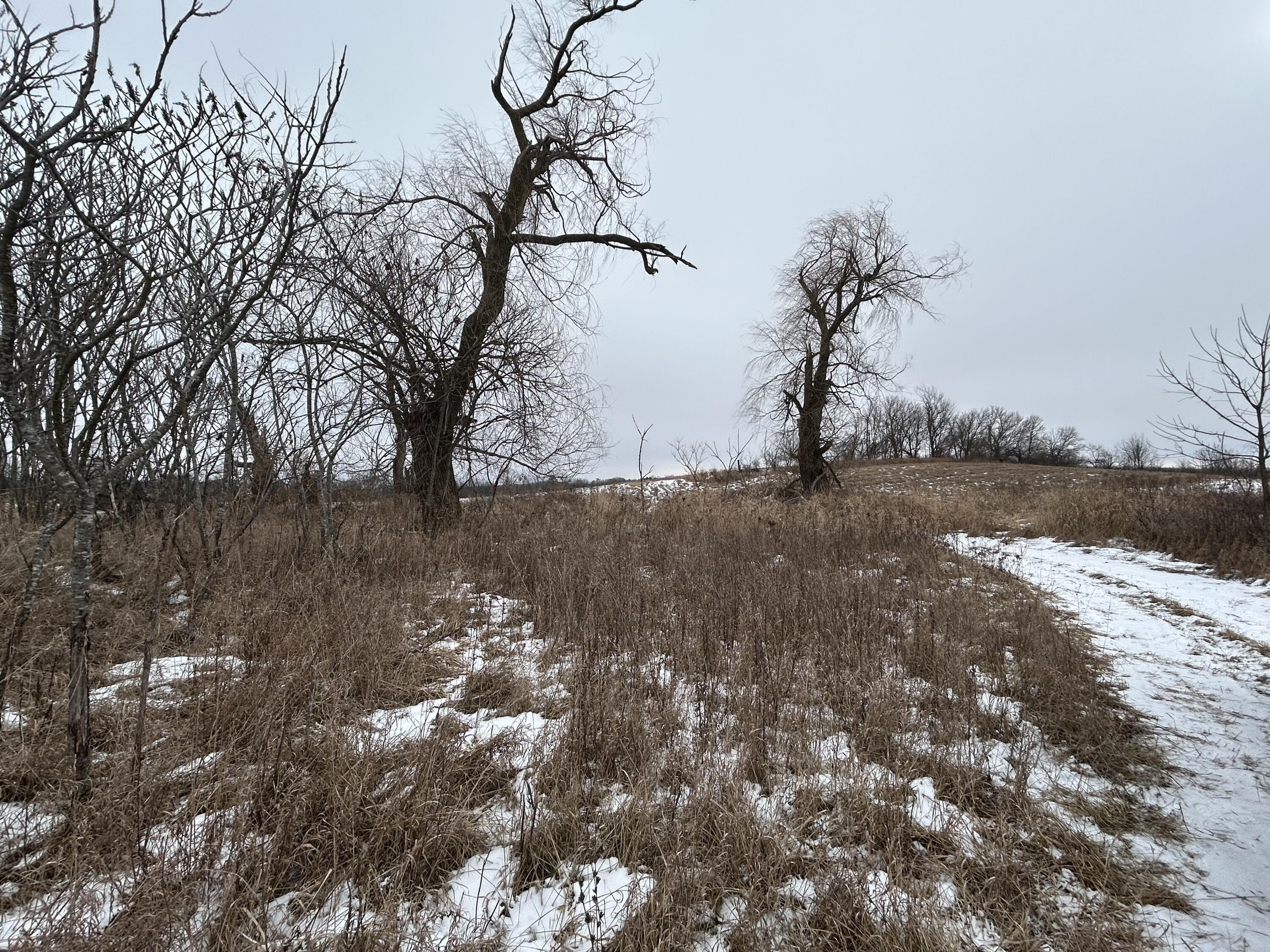 7351 Tamarack Road Property Photo 39