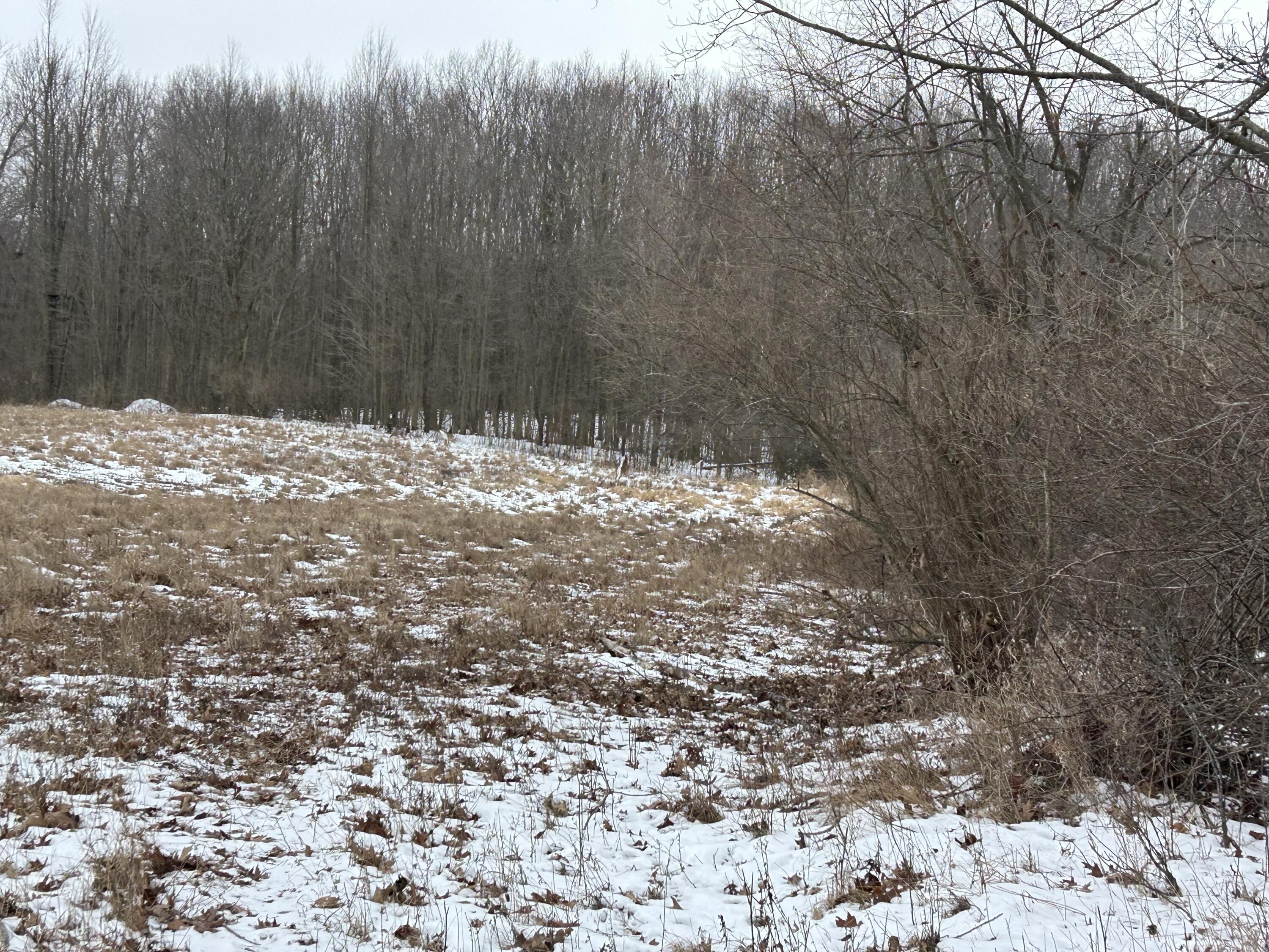 7351 Tamarack Road Property Photo 43