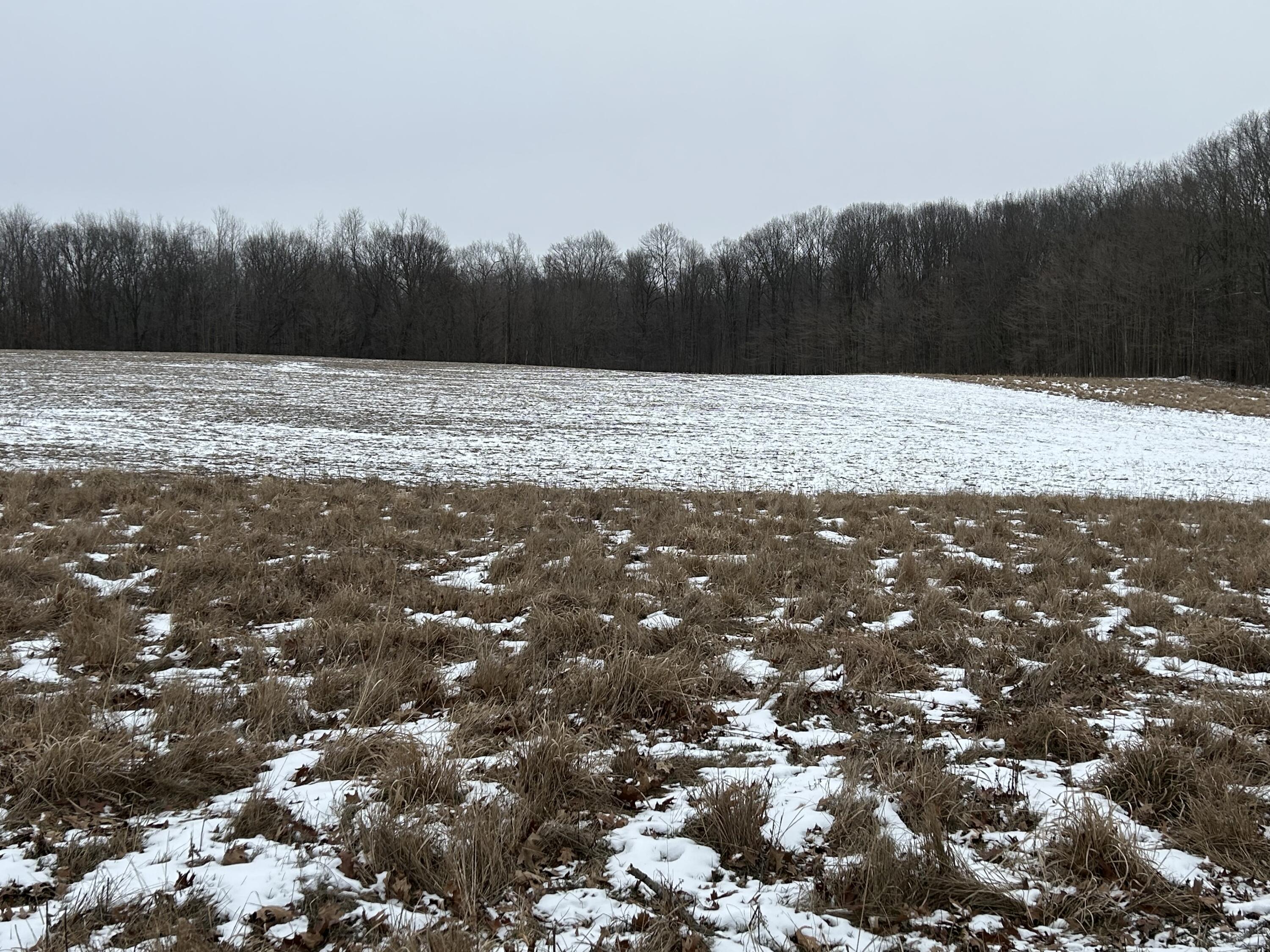 7351 Tamarack Road Property Photo 44