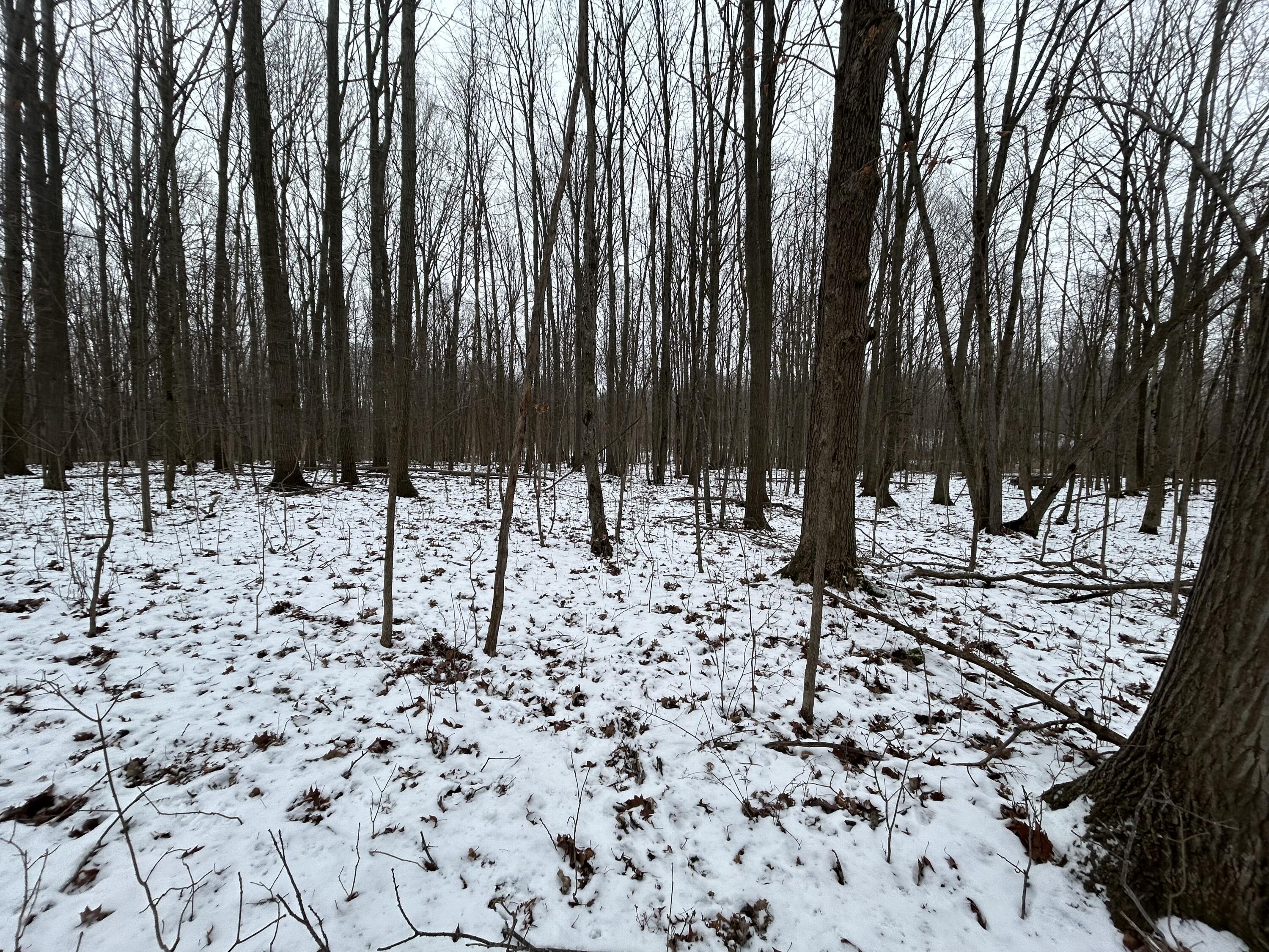 7351 Tamarack Road Property Photo 45
