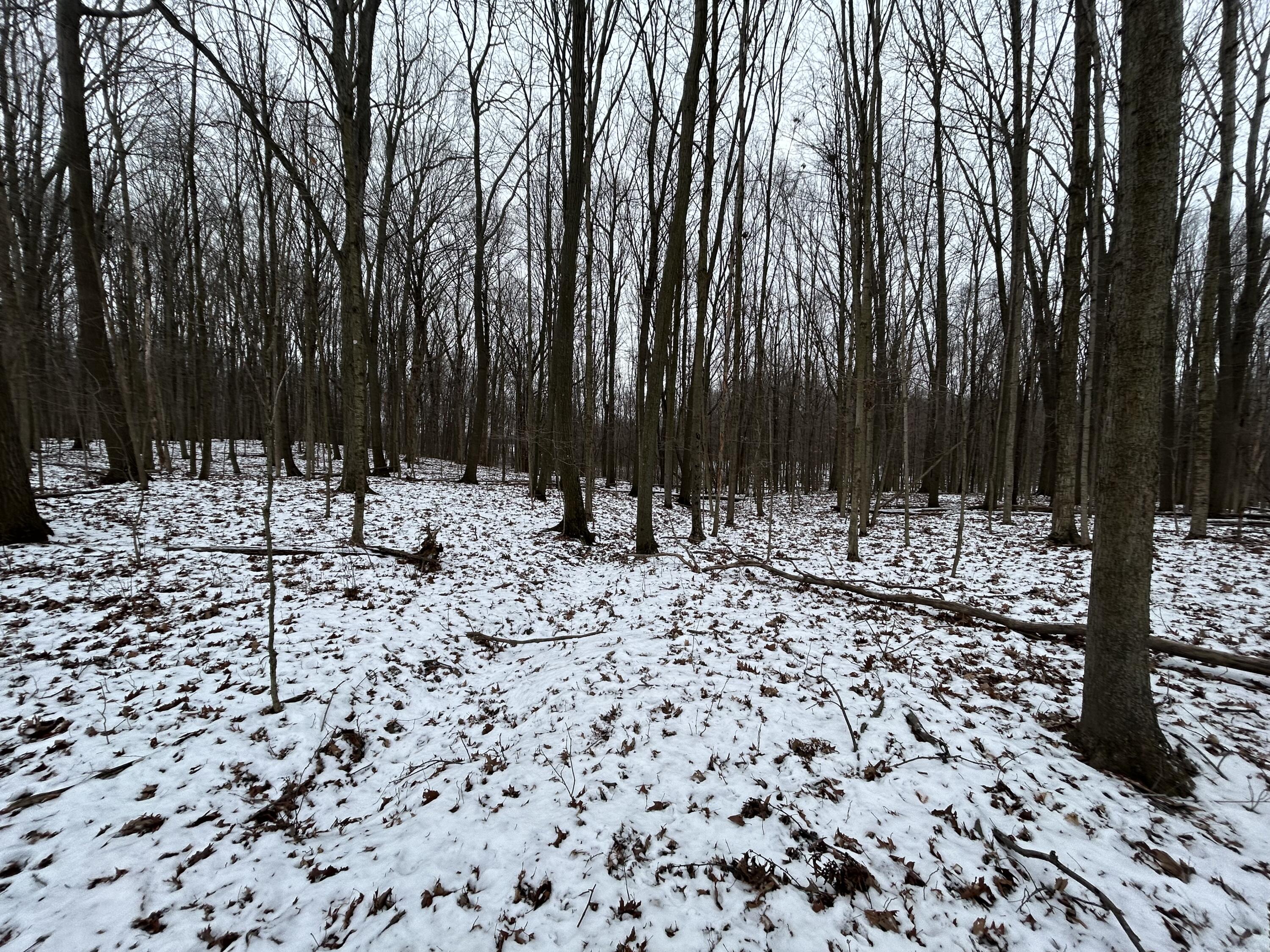 7351 Tamarack Road Property Photo 46
