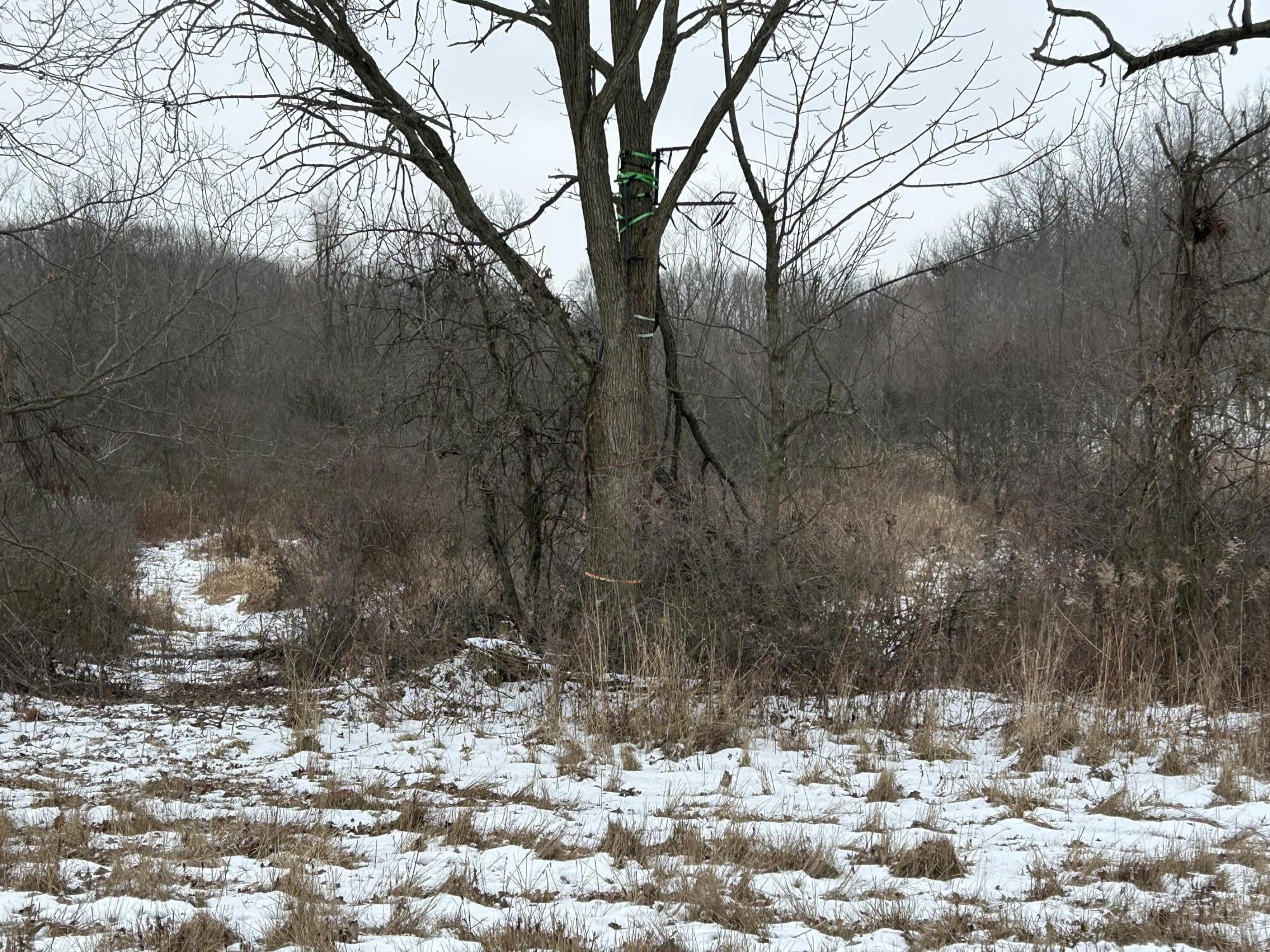7351 Tamarack Road Property Photo 48