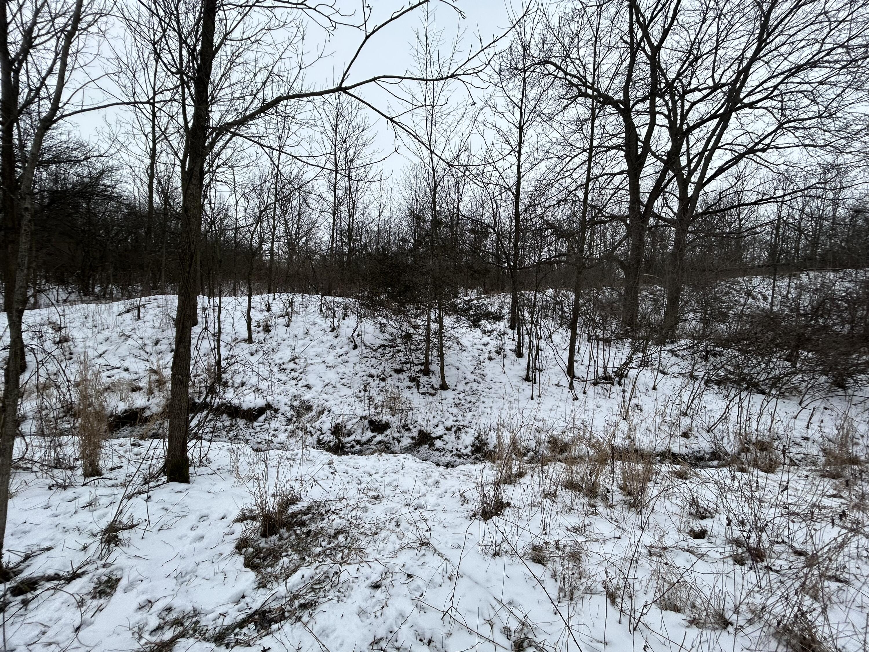 7351 Tamarack Road Property Photo 50
