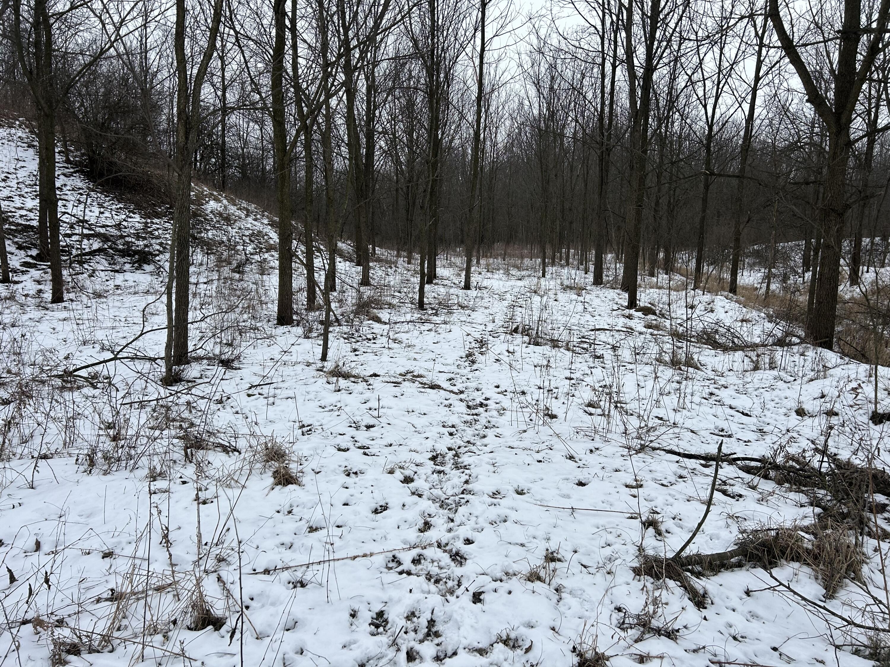 7351 Tamarack Road Property Photo 51