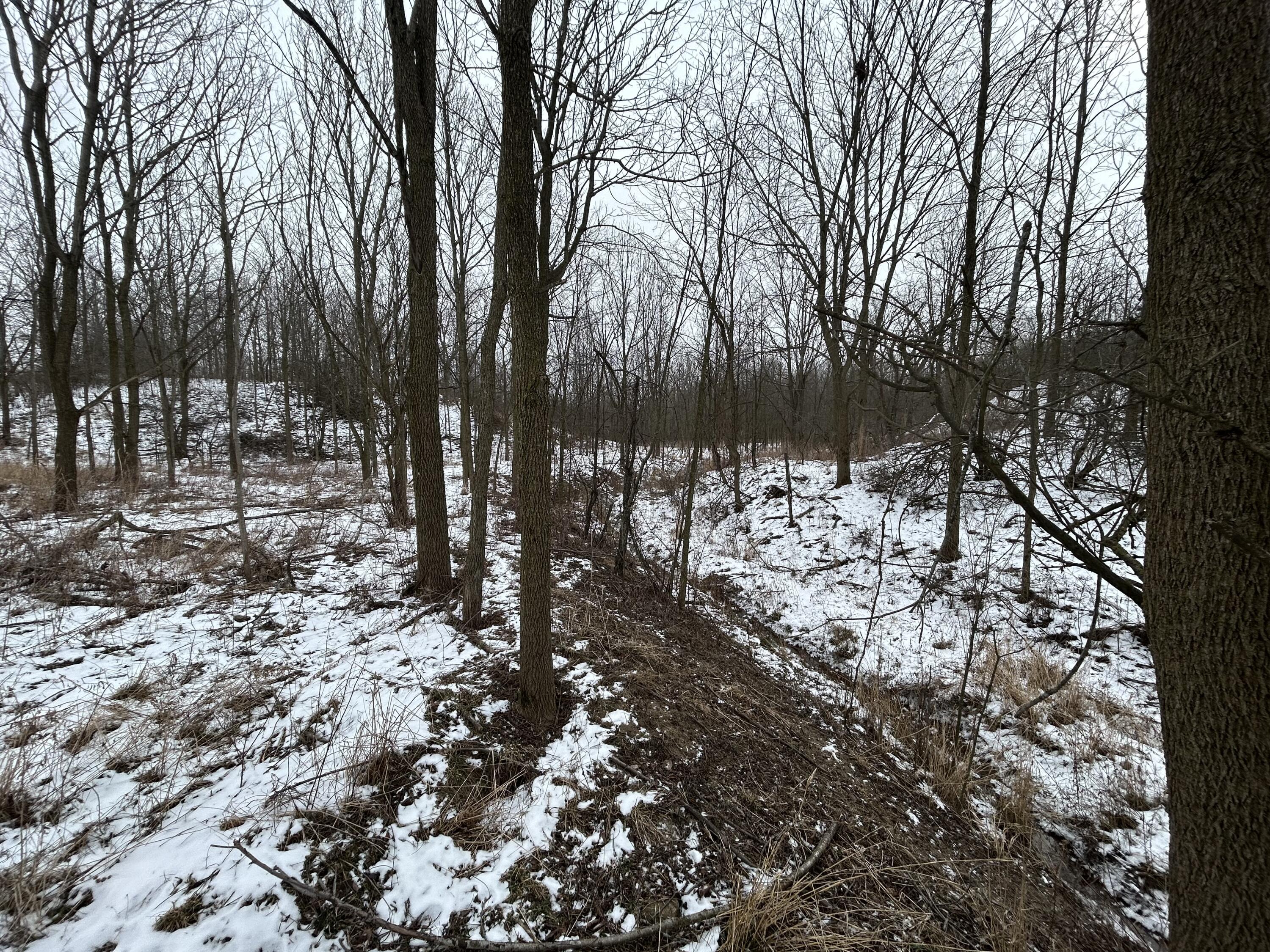 7351 Tamarack Road Property Photo 53