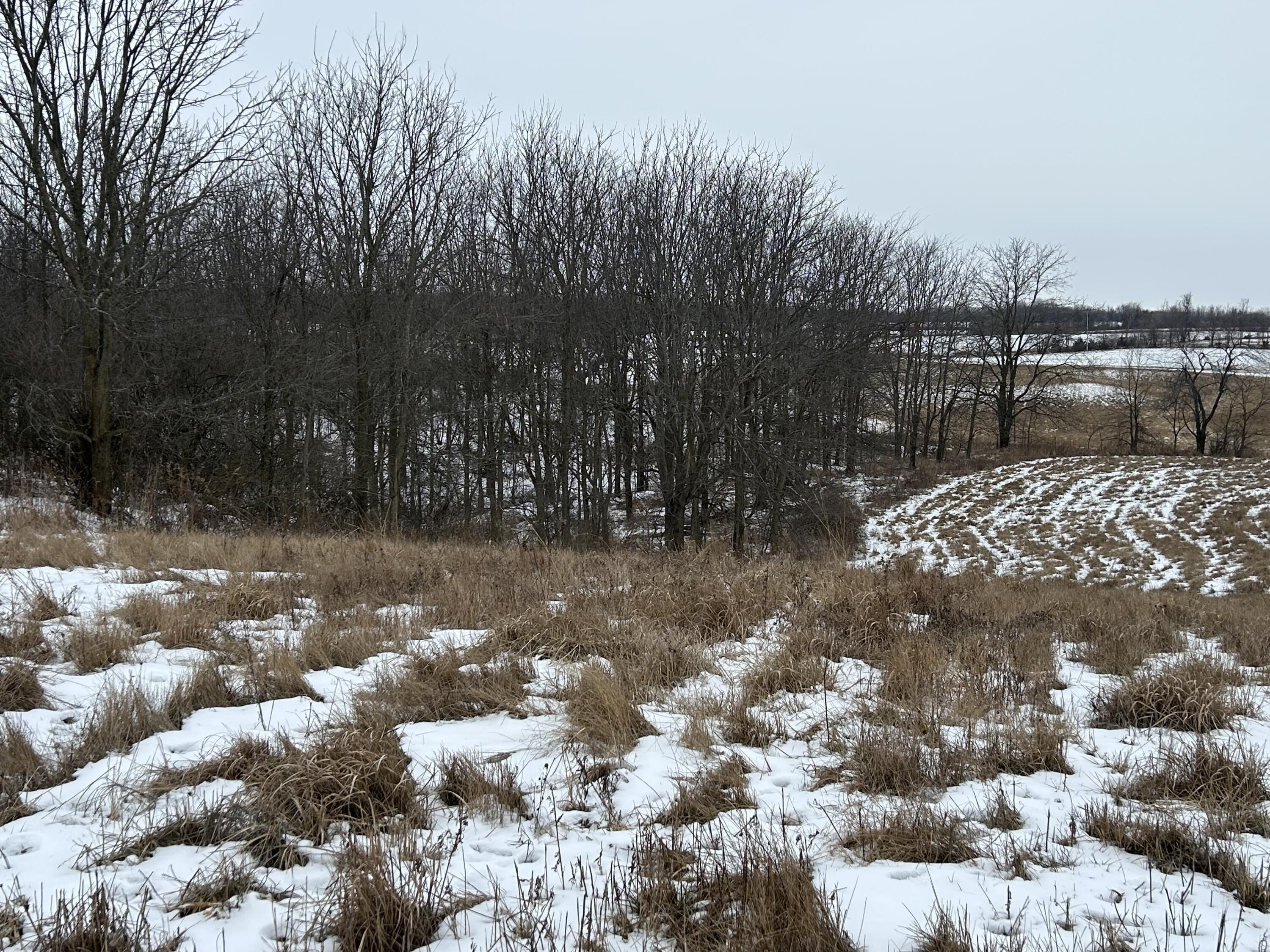 7351 Tamarack Road Property Photo 54