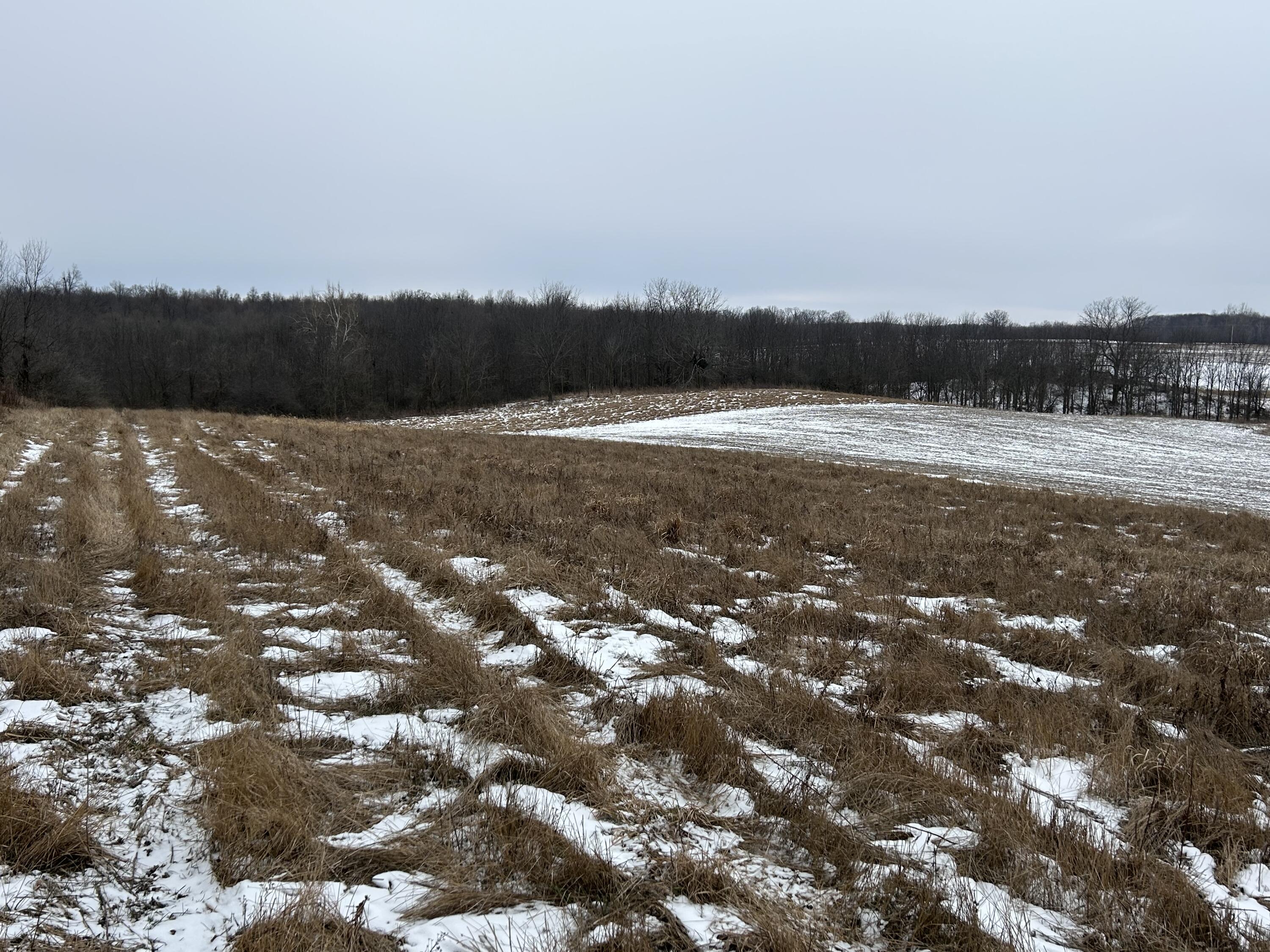 7351 Tamarack Road Property Photo 56