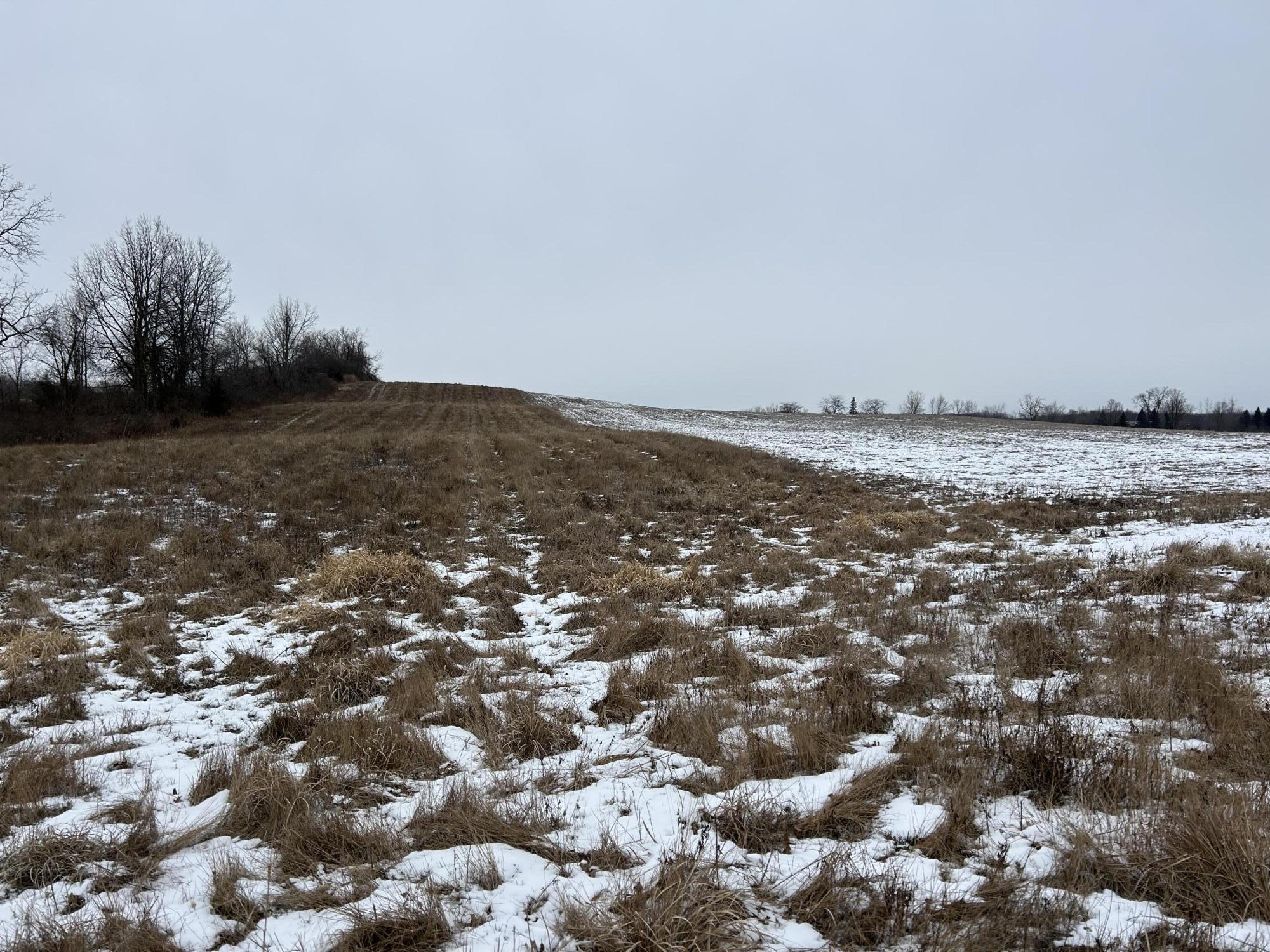 7351 Tamarack Road Property Photo 60