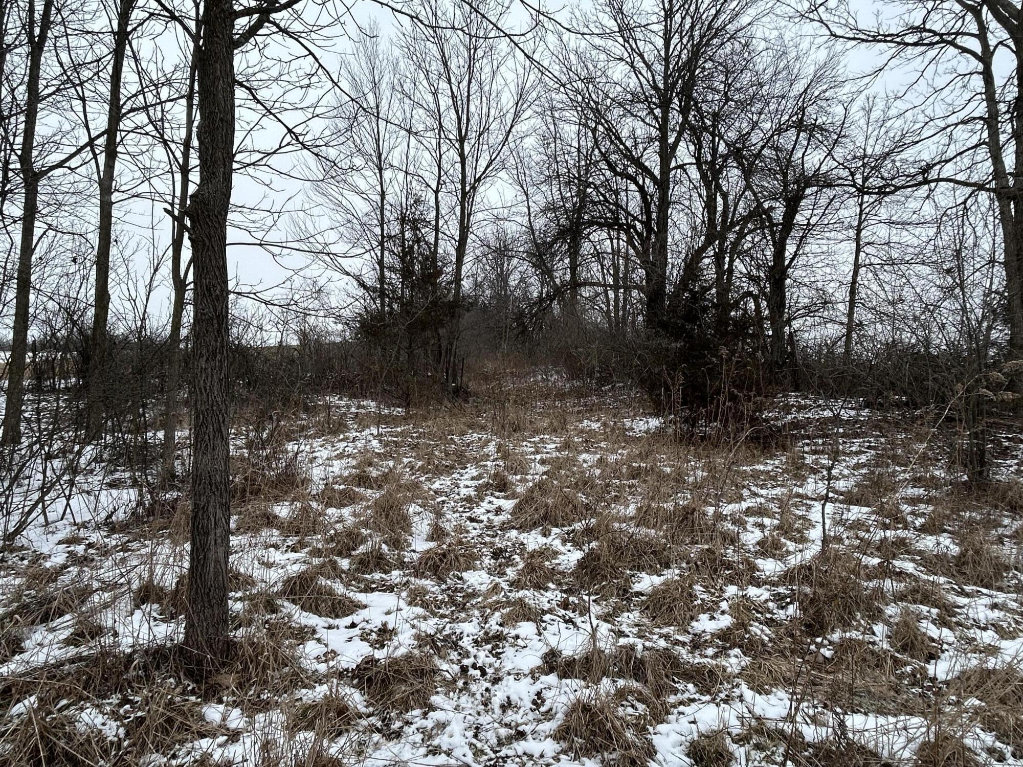 7351 Tamarack Road Property Photo 61