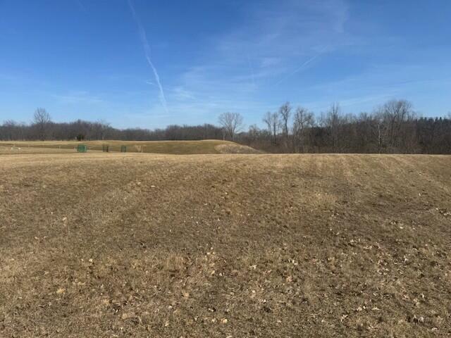 585 Berrynoll Court Property Photo 1
