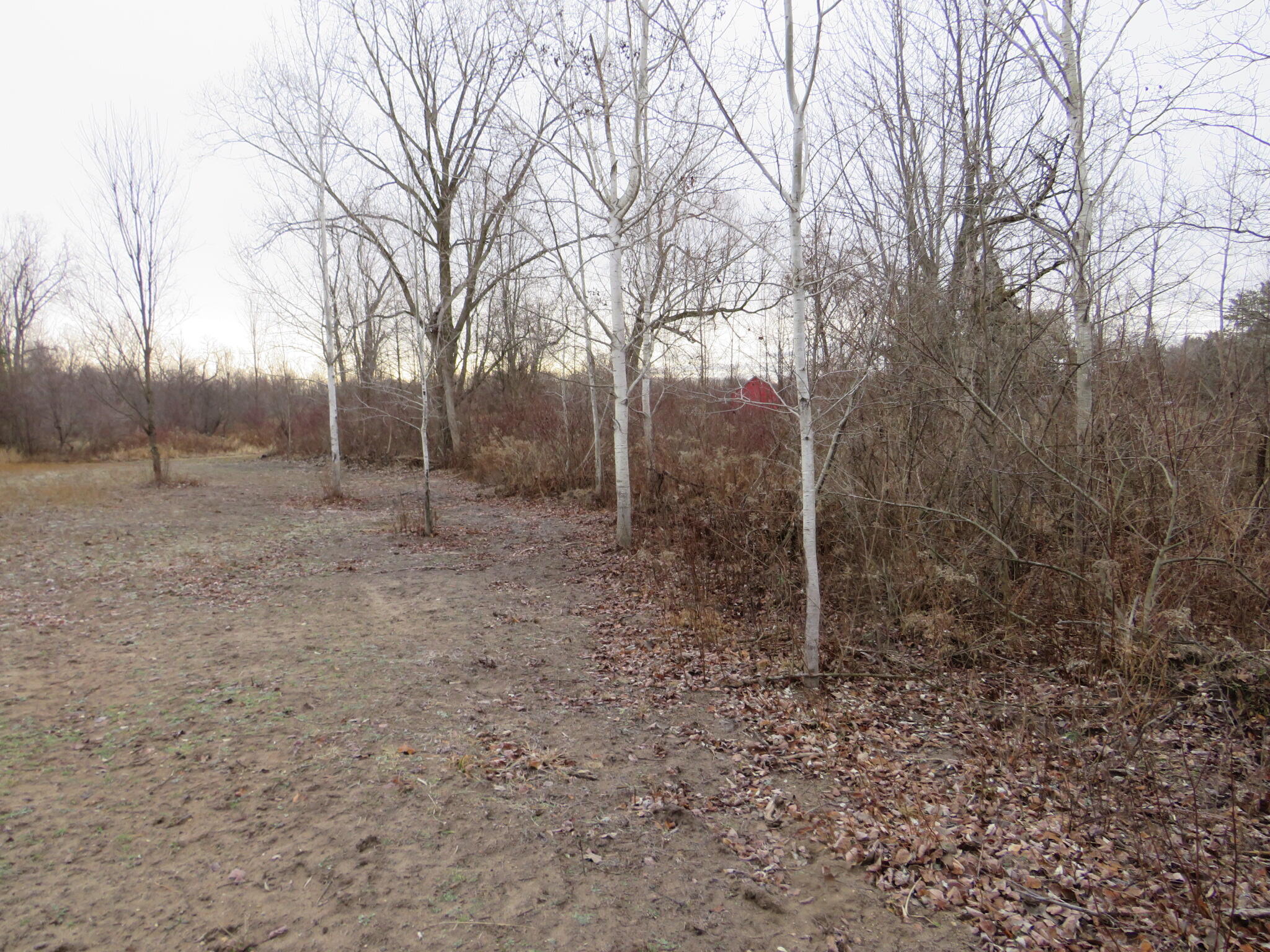 11765 W Jefferson Road Property Photo 11