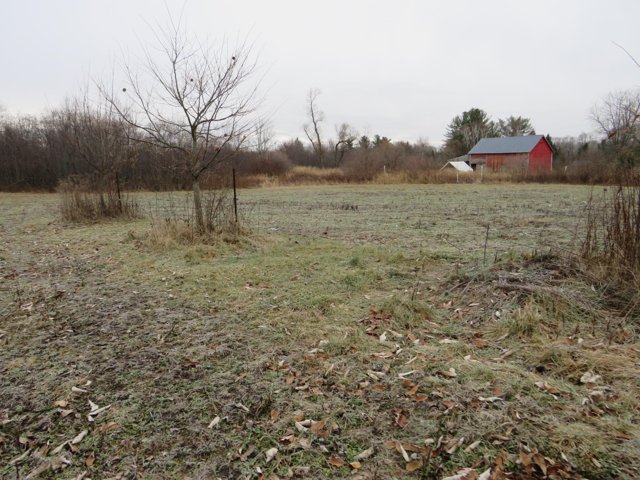 11765 W Jefferson Road Property Photo 12