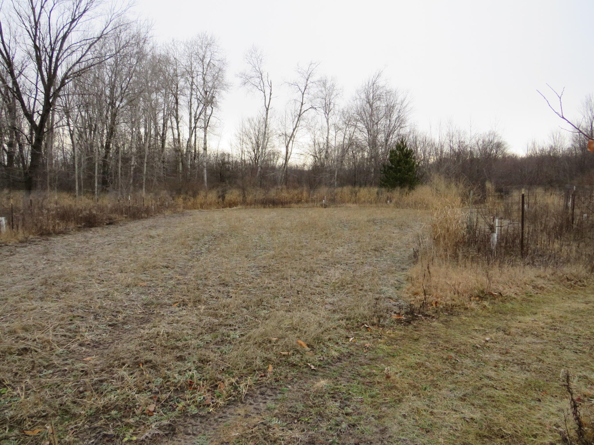 11765 W Jefferson Road Property Photo 14