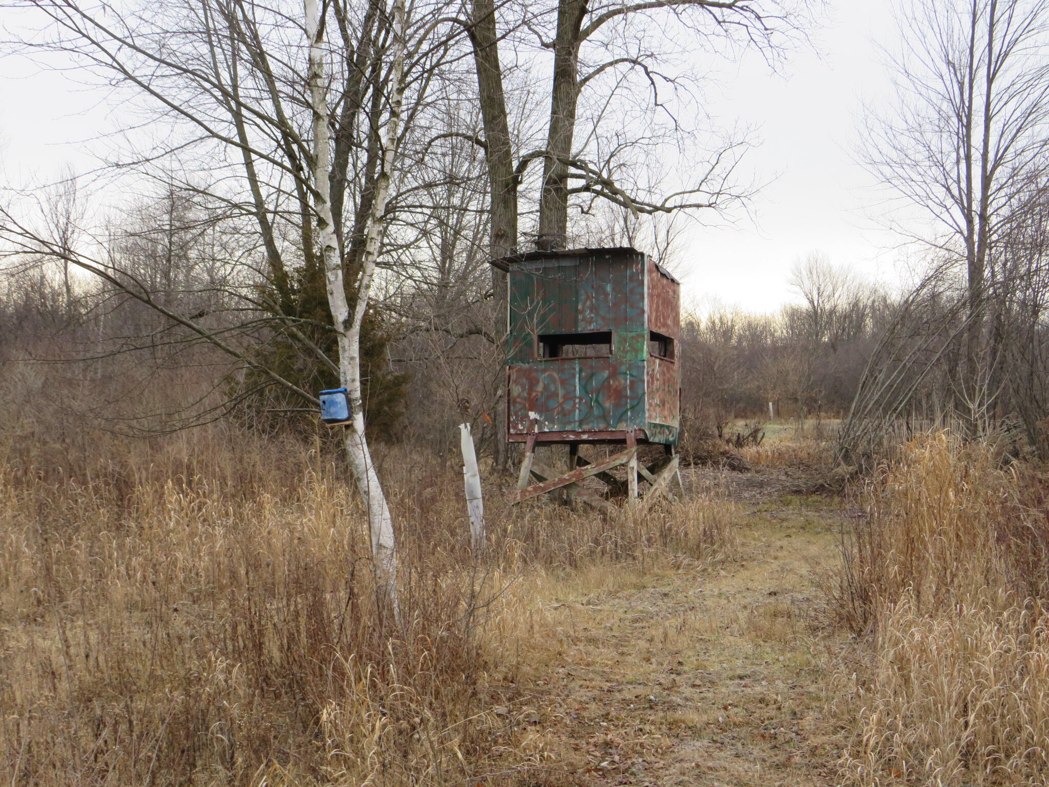 11765 W Jefferson Road Property Photo 15