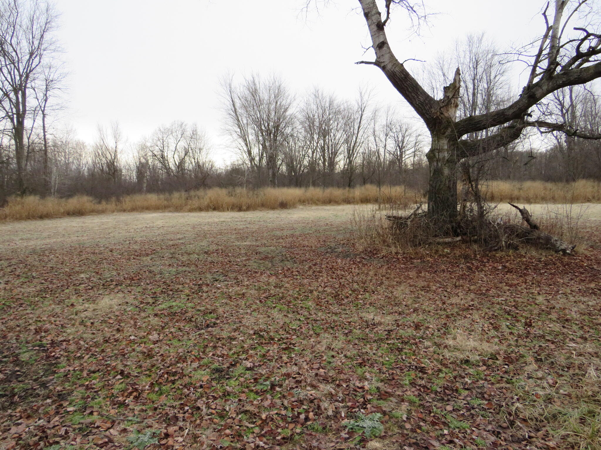 11765 W Jefferson Road Property Photo 16