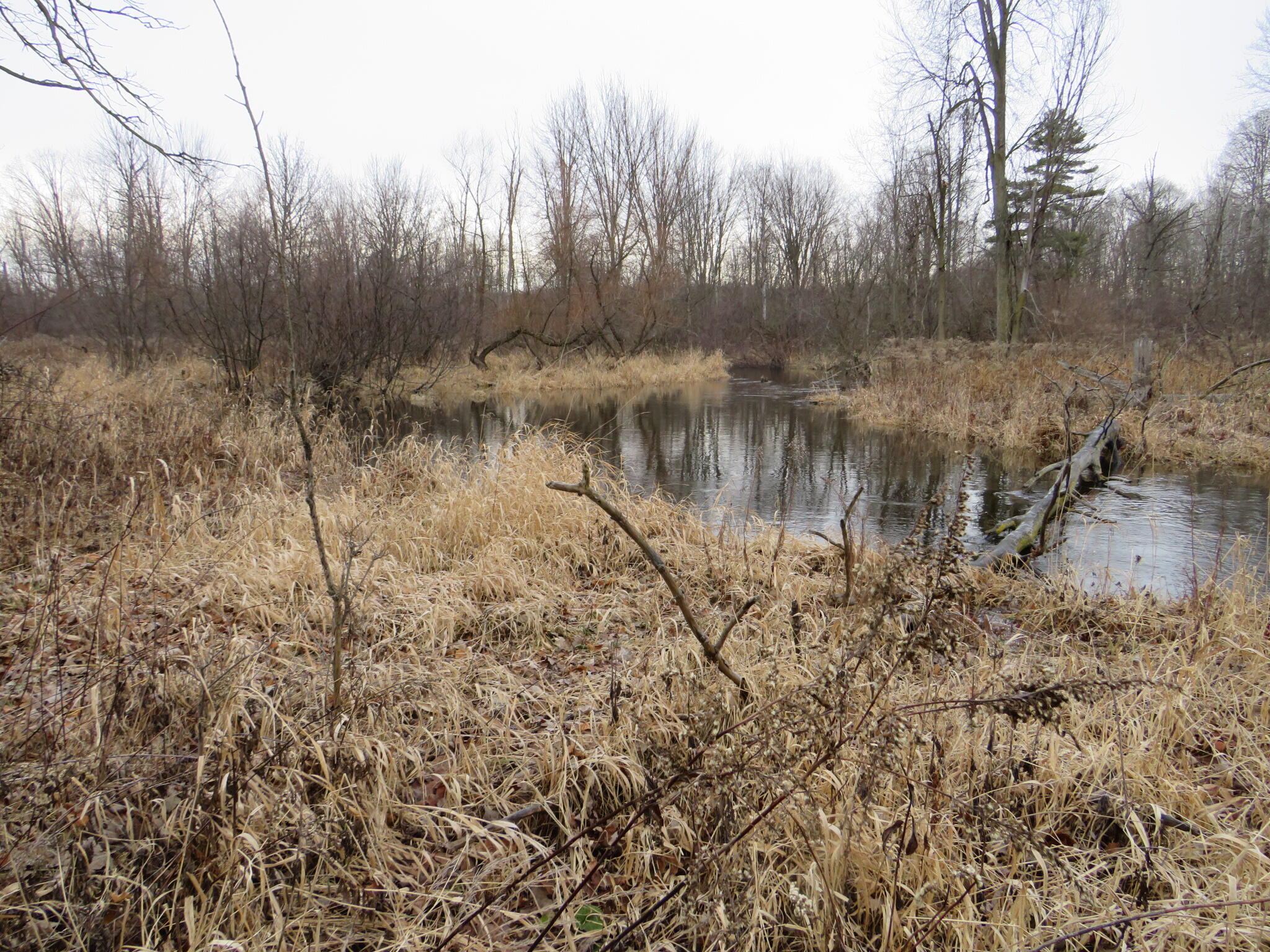 11765 W Jefferson Road Property Photo 17