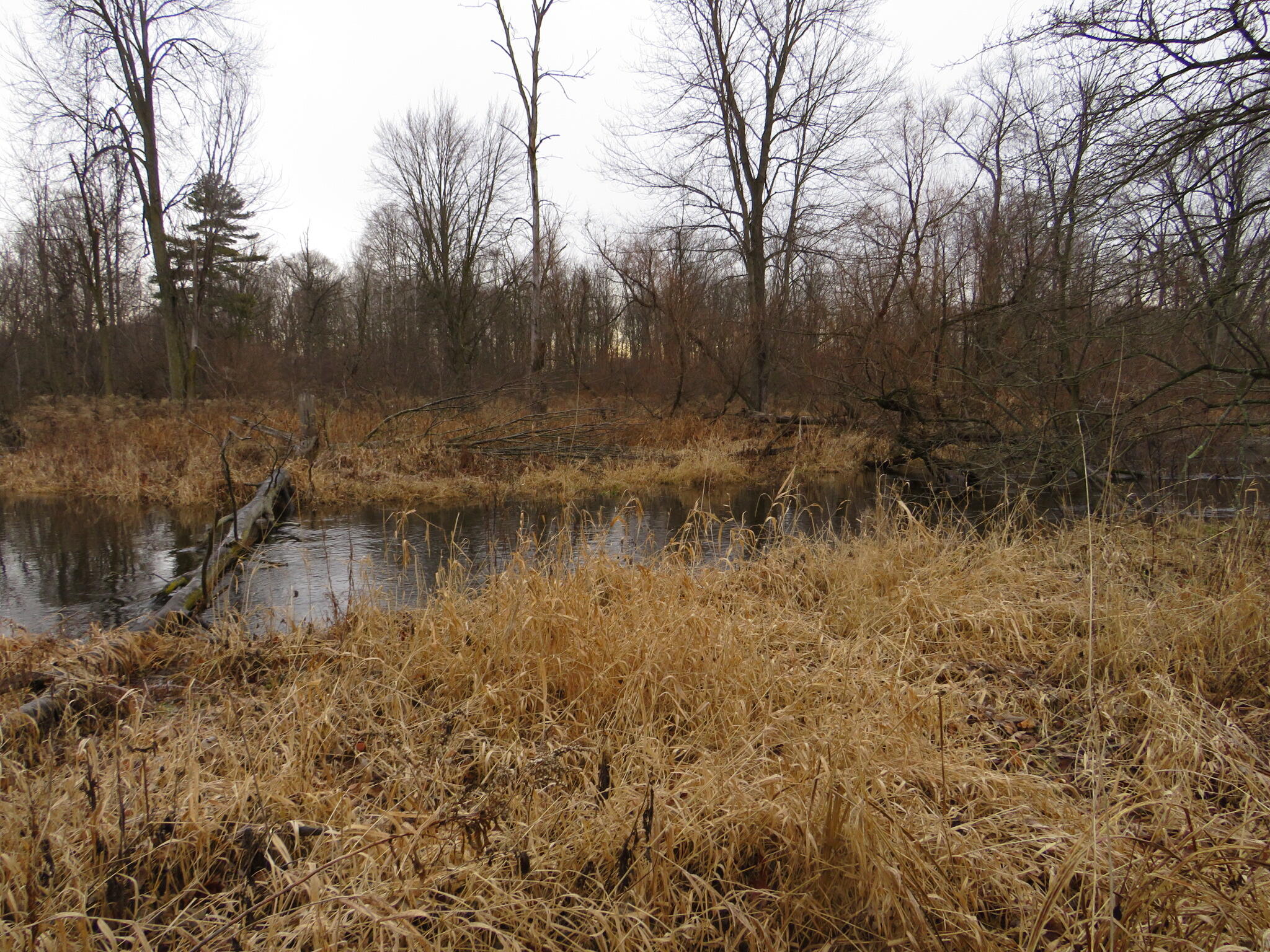 11765 W Jefferson Road Property Photo 18