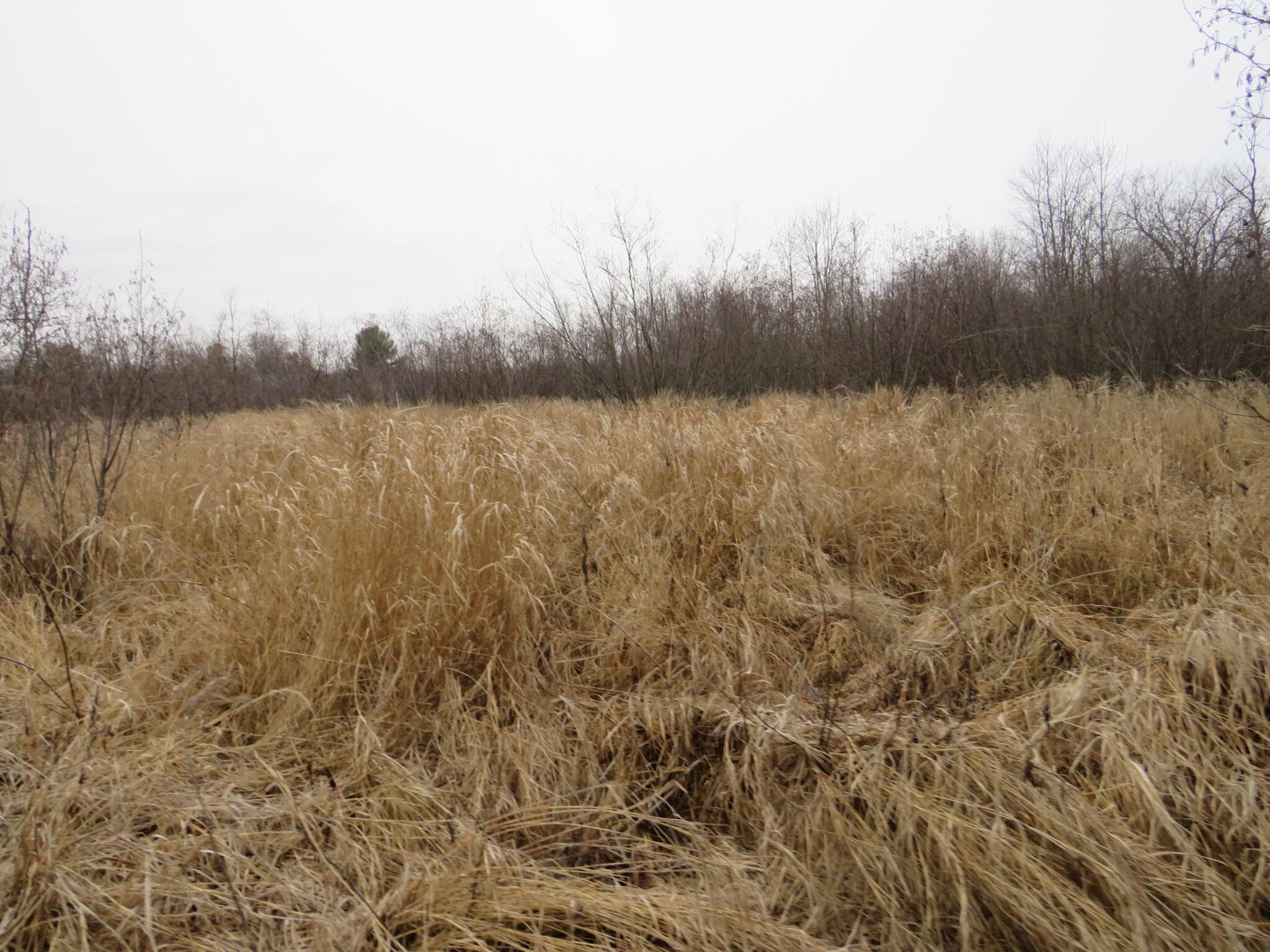 11765 W Jefferson Road Property Photo 19