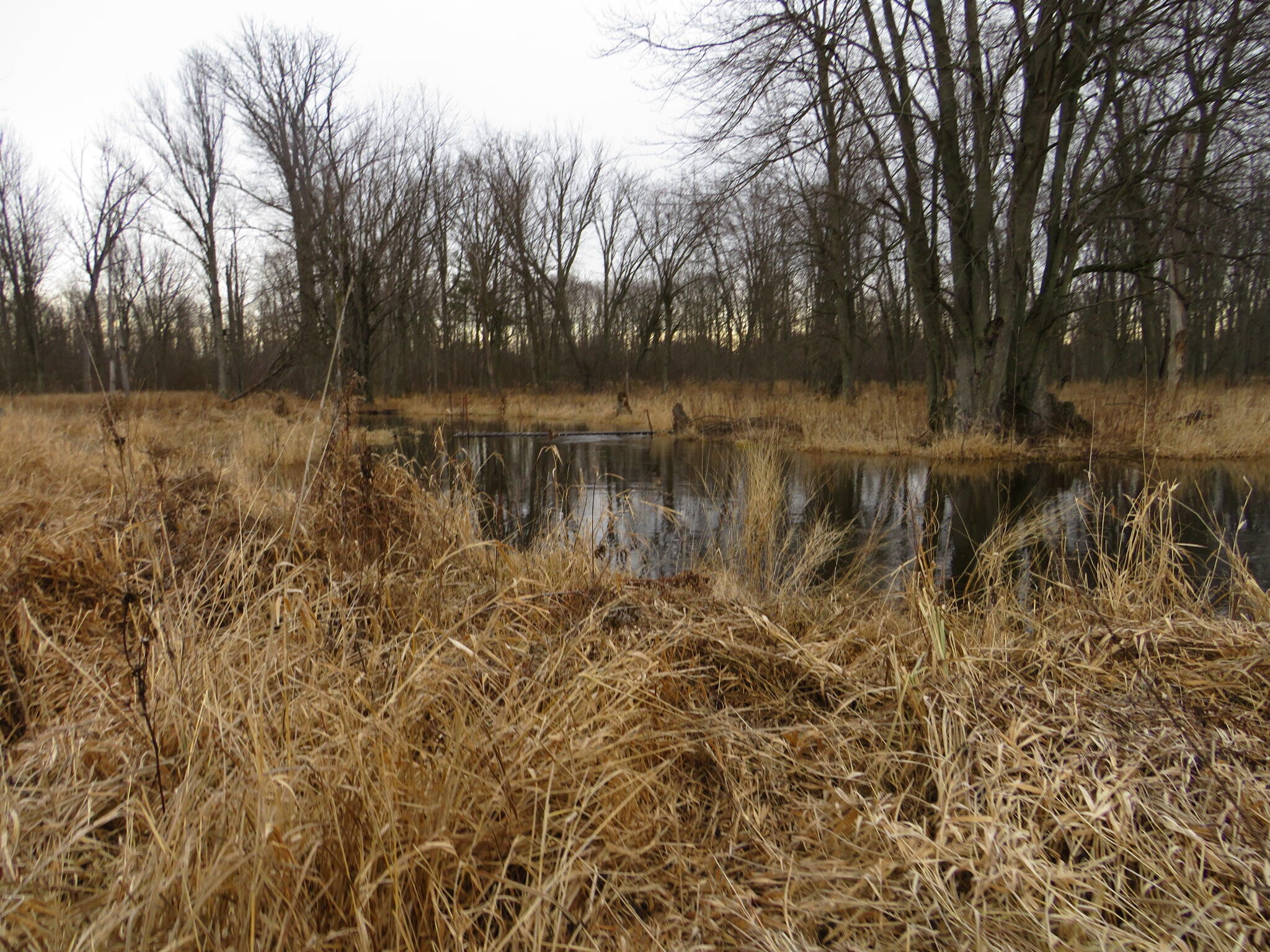 11765 W Jefferson Road Property Photo 21