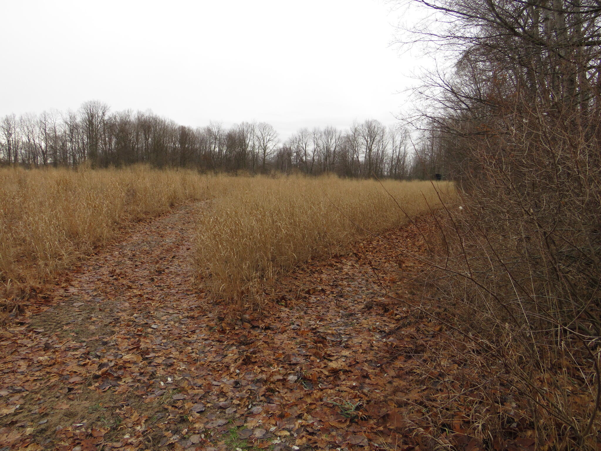 11765 W Jefferson Road Property Photo 23