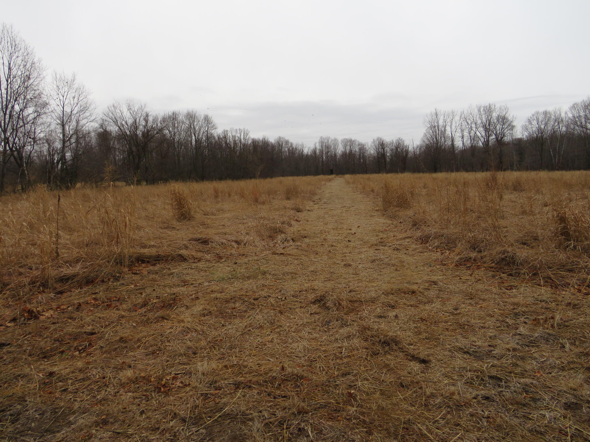 11765 W Jefferson Road Property Photo 24