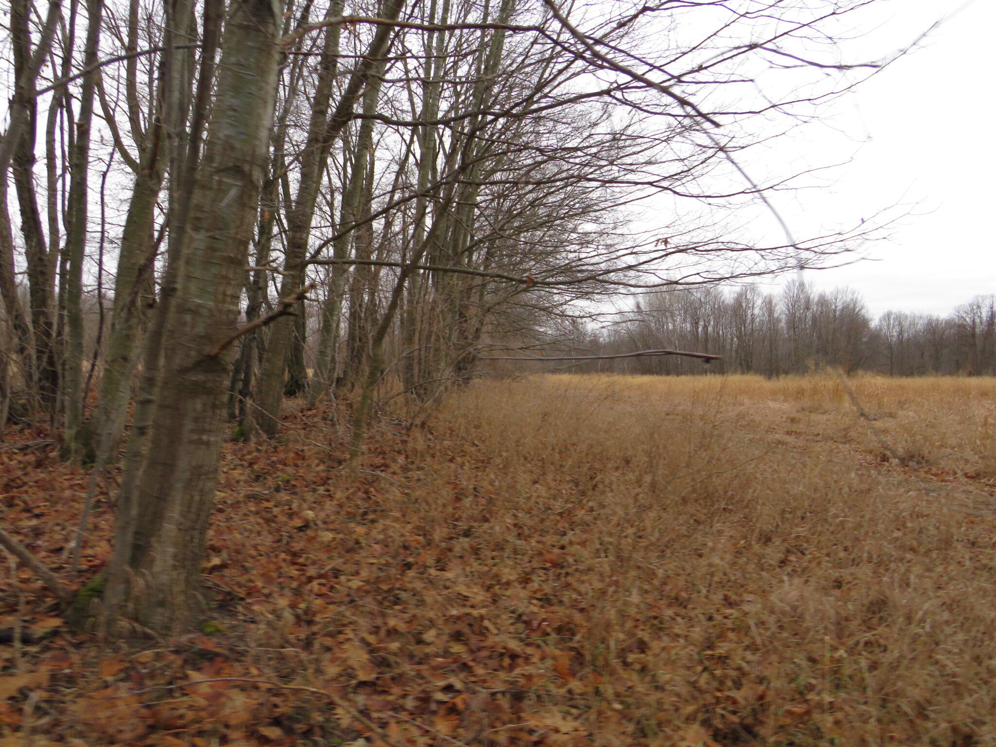 11765 W Jefferson Road Property Photo 25