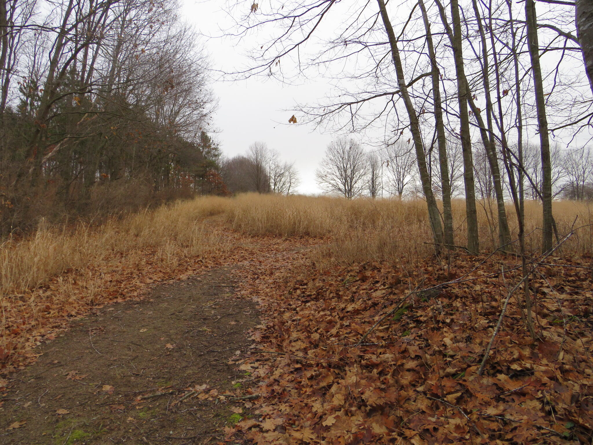 11765 W Jefferson Road Property Photo 26