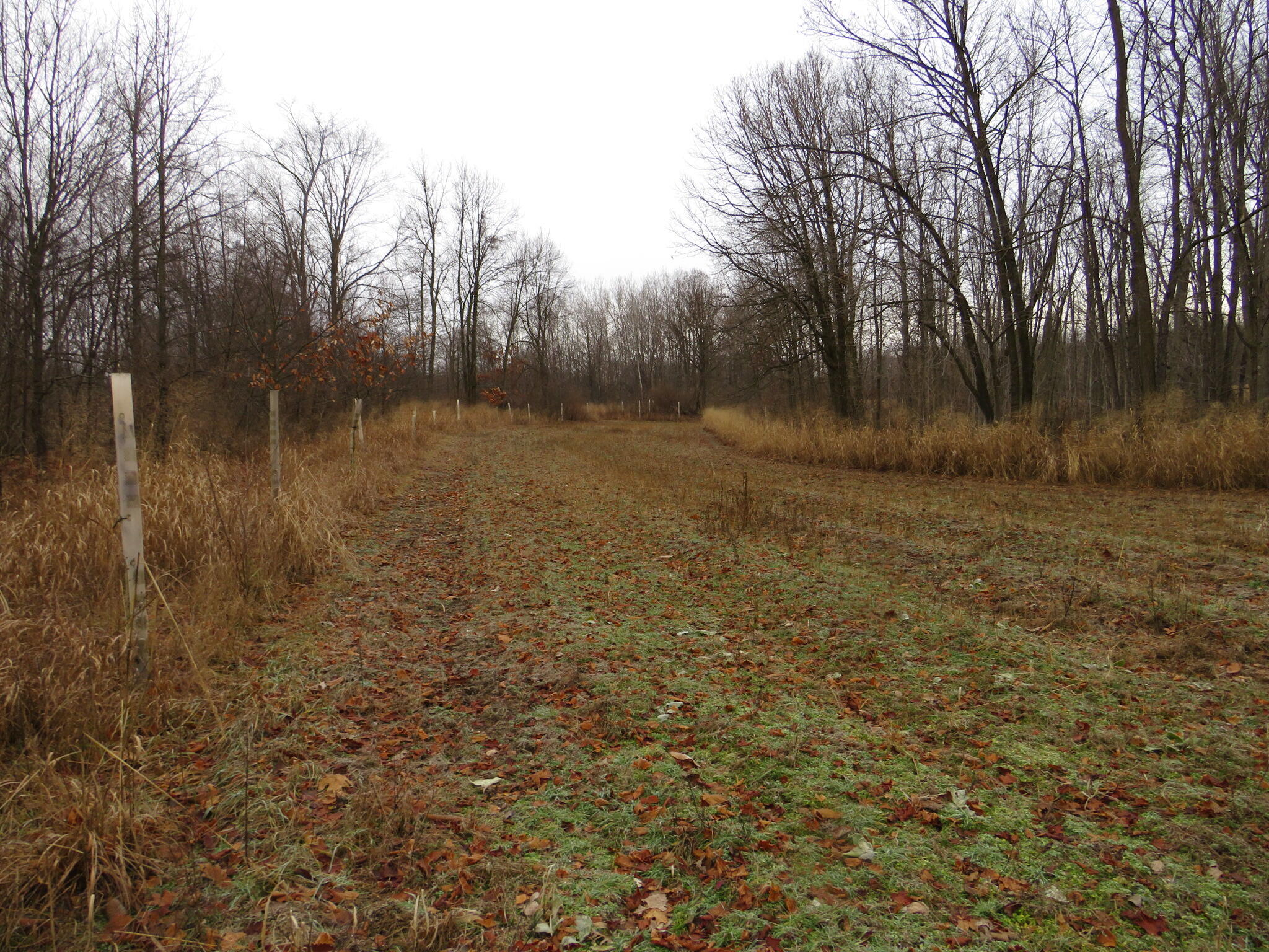 11765 W Jefferson Road Property Photo 30