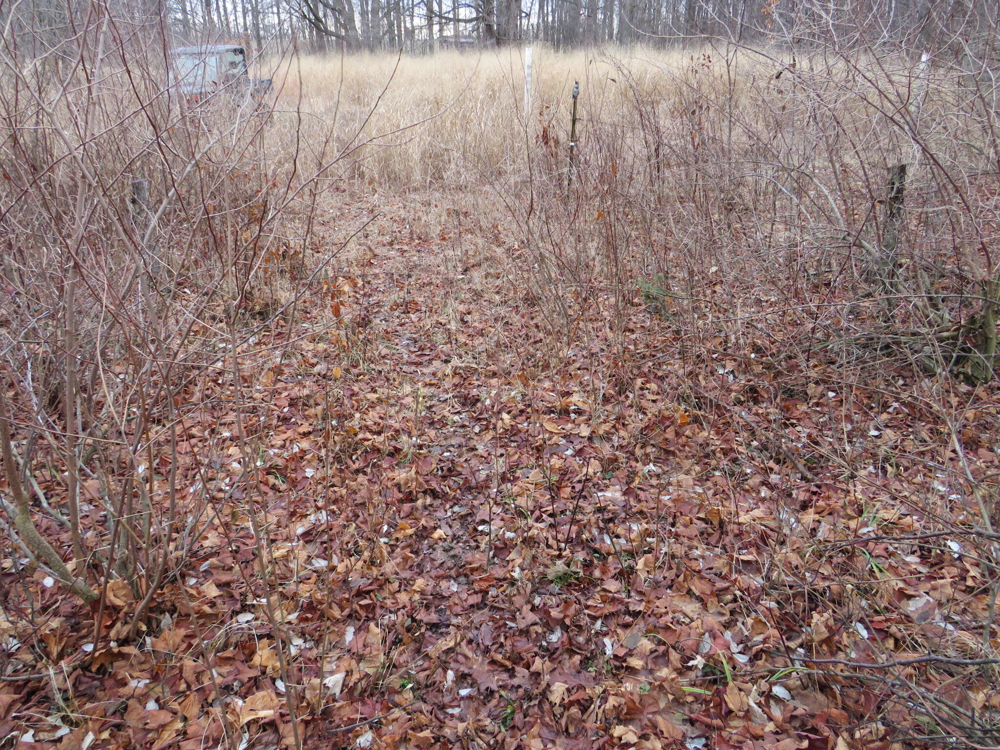 11765 W Jefferson Road Property Photo 31