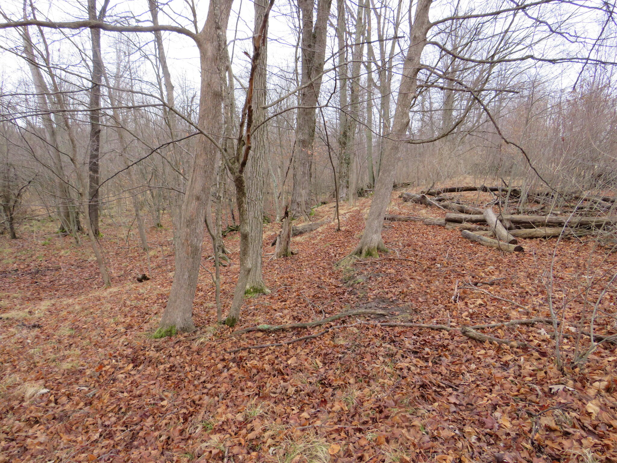 11765 W Jefferson Road Property Photo 32
