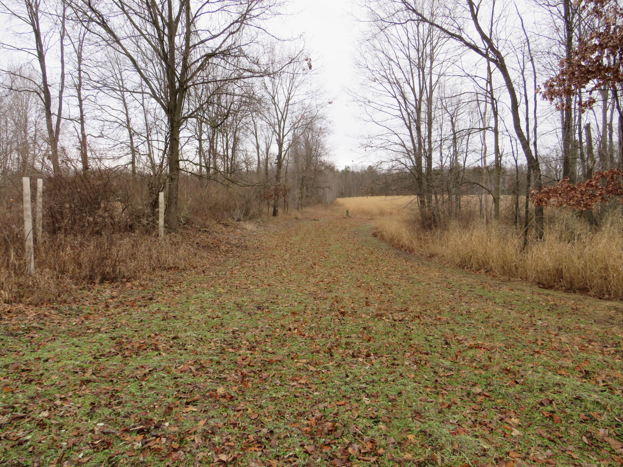 11765 W Jefferson Road Property Photo 34