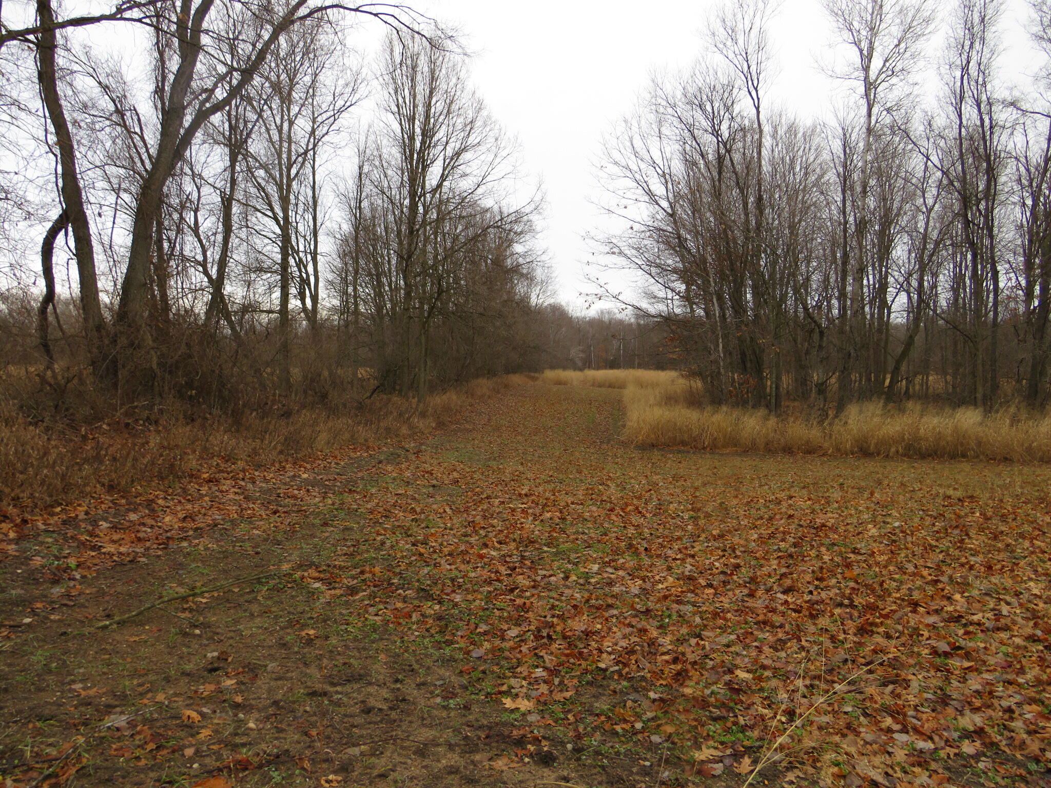 11765 W Jefferson Road Property Photo 36