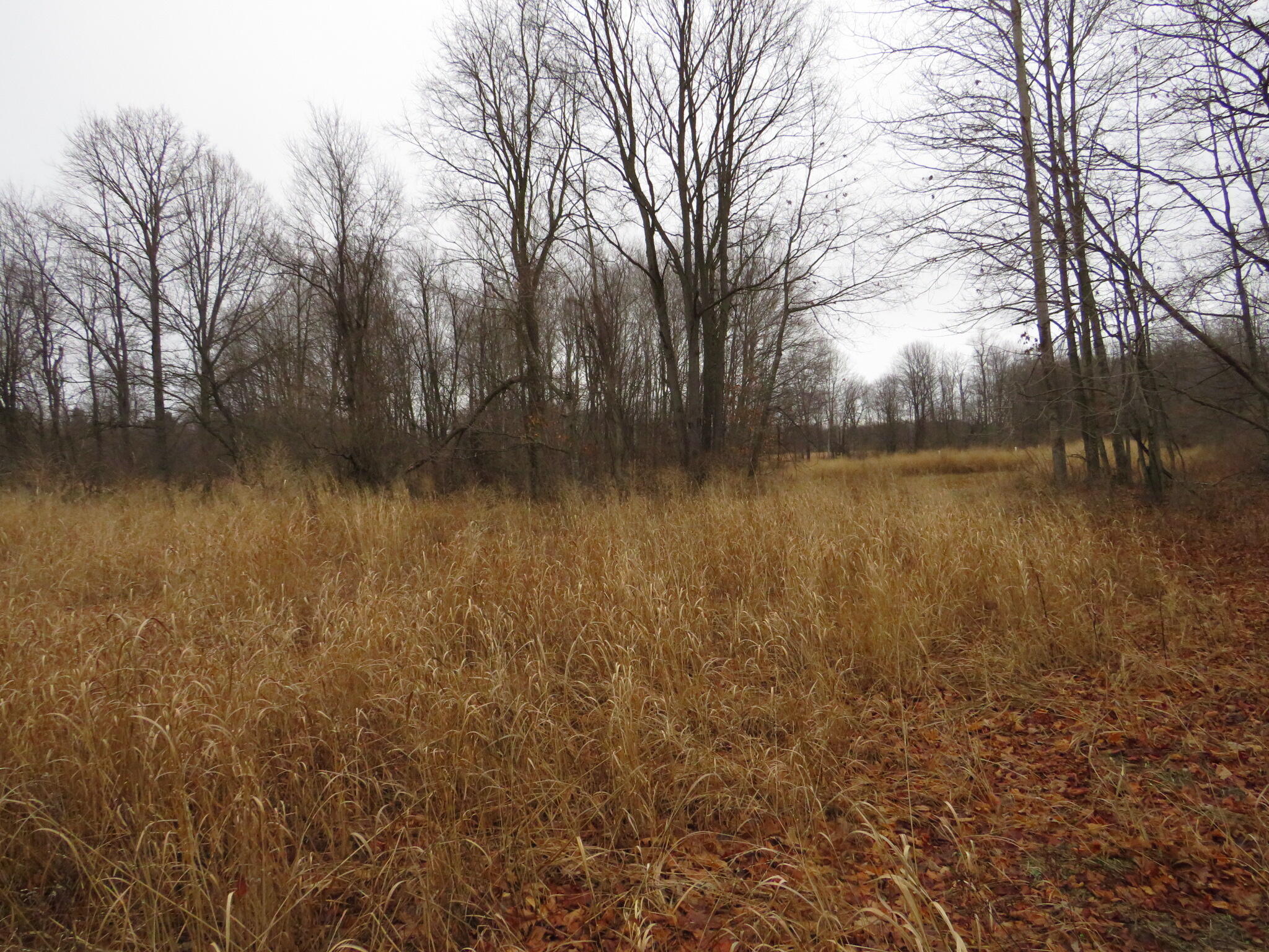 11765 W Jefferson Road Property Photo 37