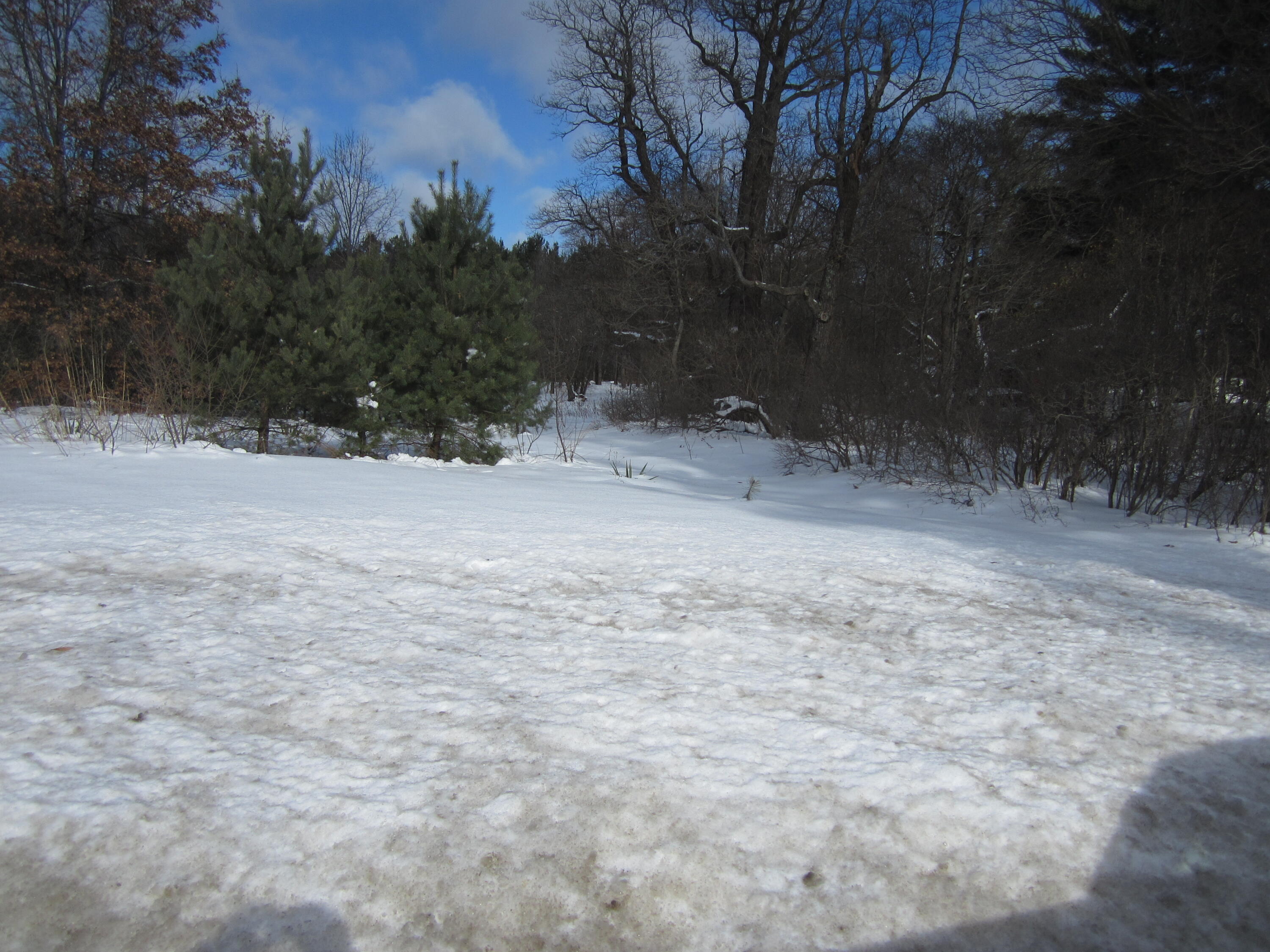 15819 Lake Michigan Drive Property Photo 6
