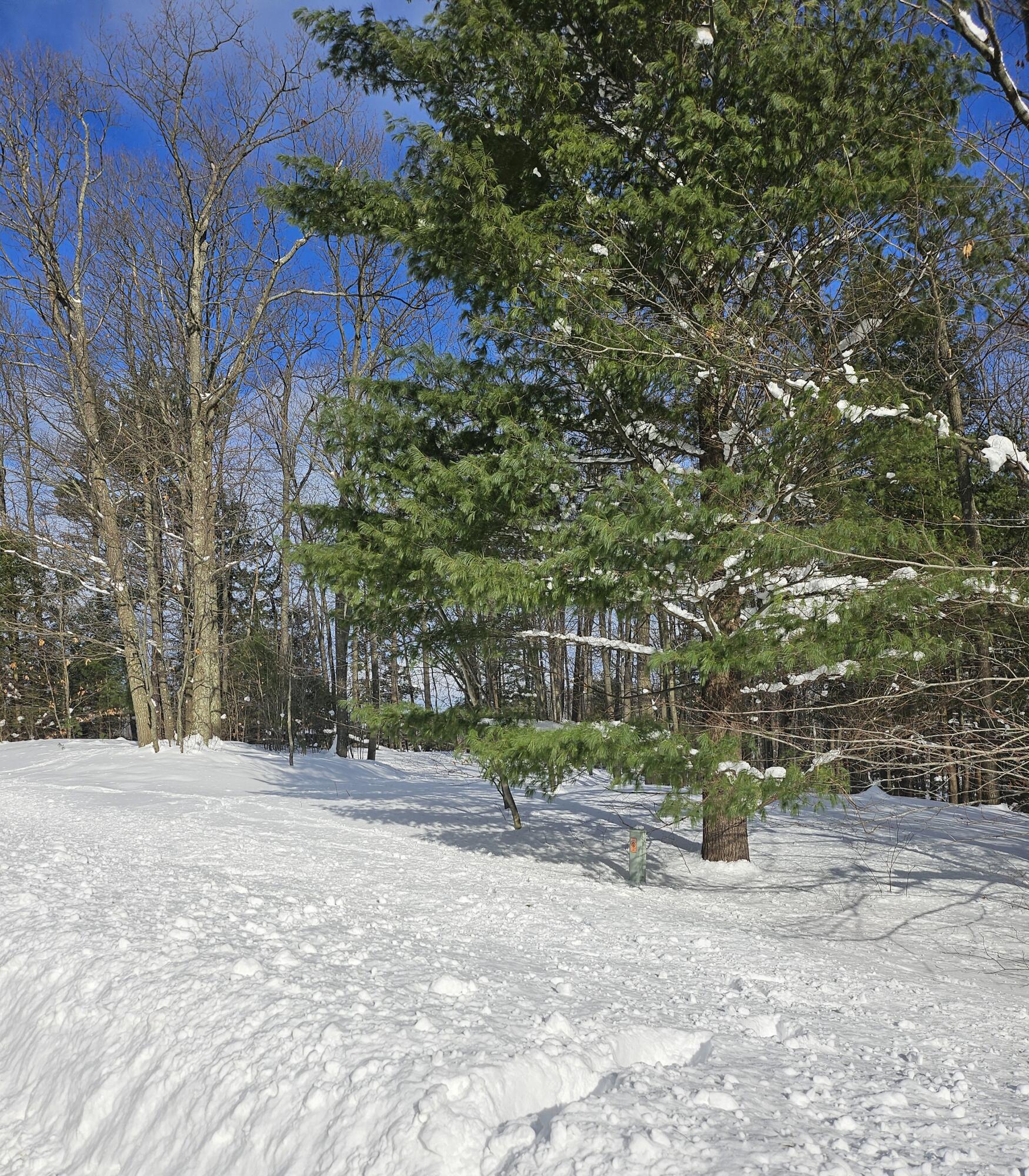Lot 1 Emerald Ridge Property Photo 3