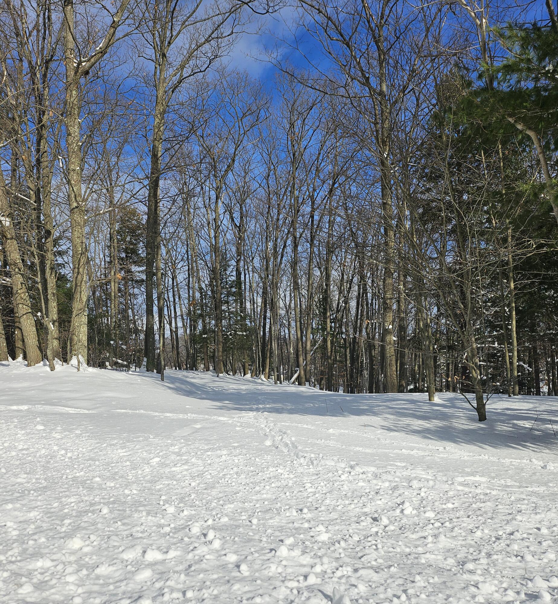 Lot 1 Emerald Ridge Property Photo 5