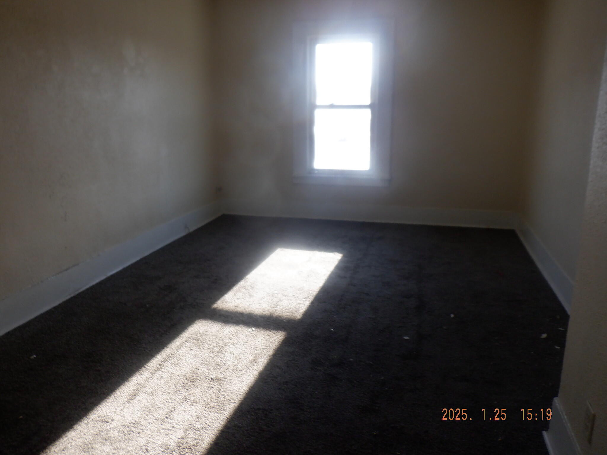 229 E Michigan Avenue Property Photo 13