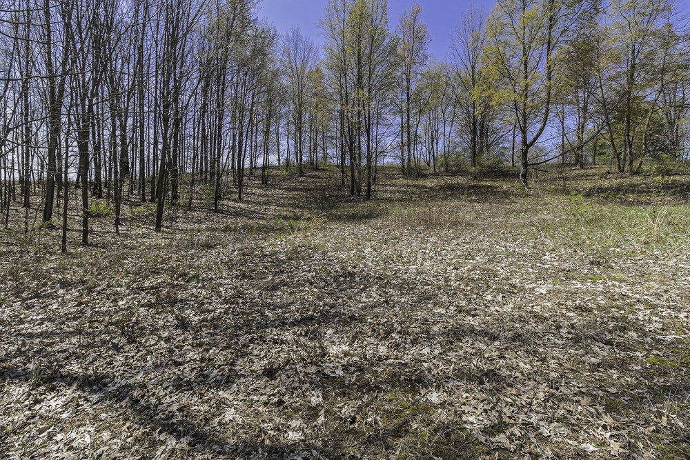 Lot 16 Campbell Lake Drive Property Photo 2