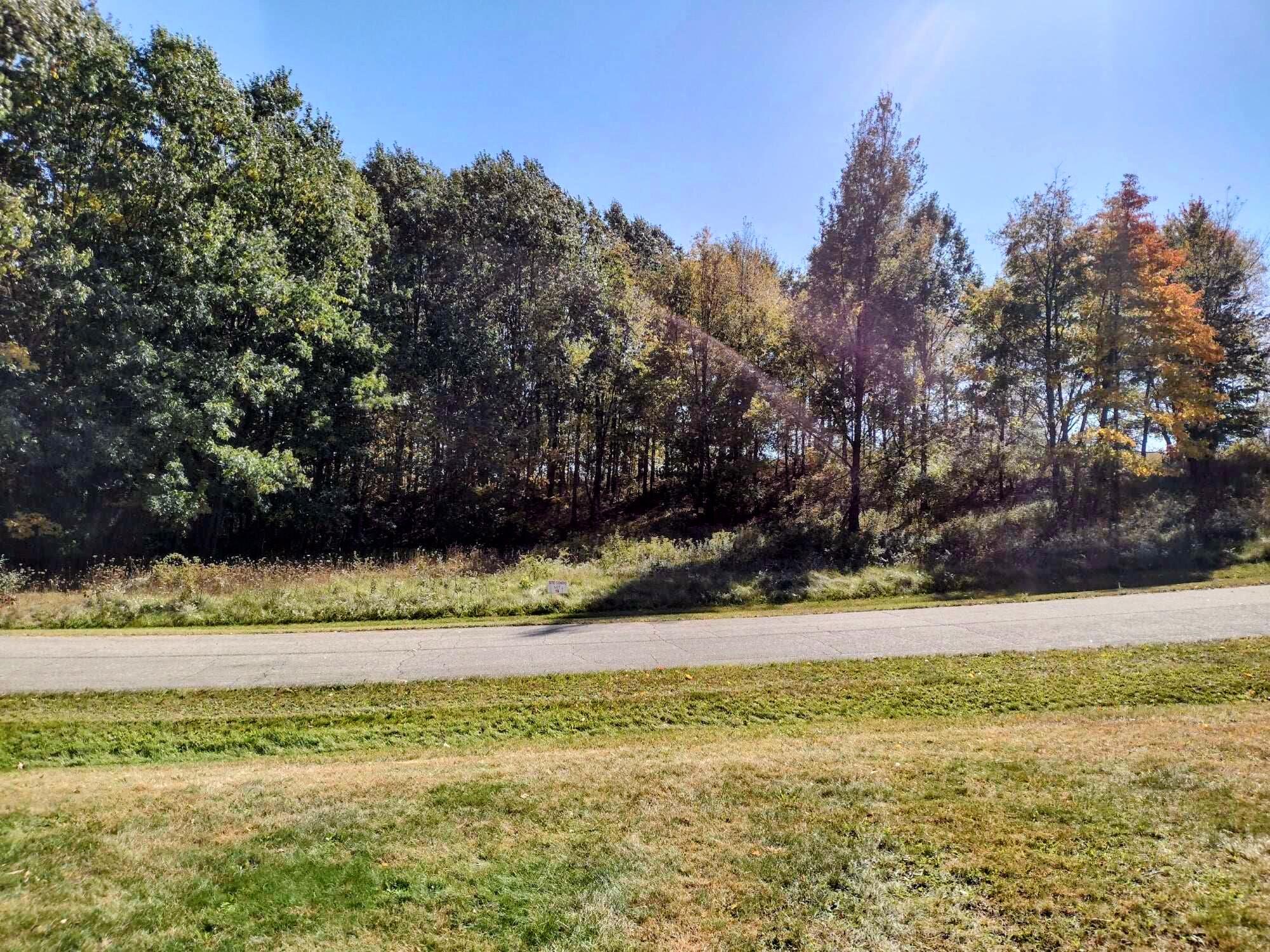 Lot 16 Campbell Lake Drive Property Photo 5