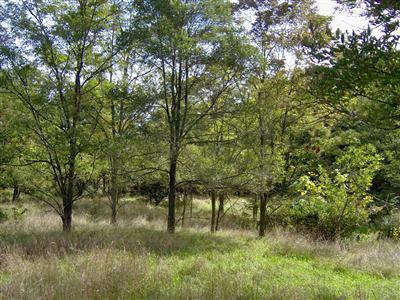 1431 M-89 Highway Property Photo 3