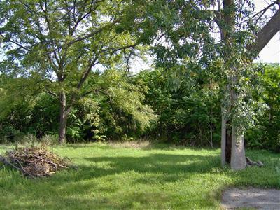 1431 M-89 Highway Property Photo 4