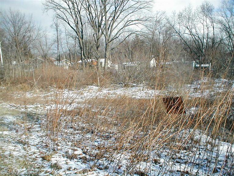 0 Red Arrow Highway Property Photo 1