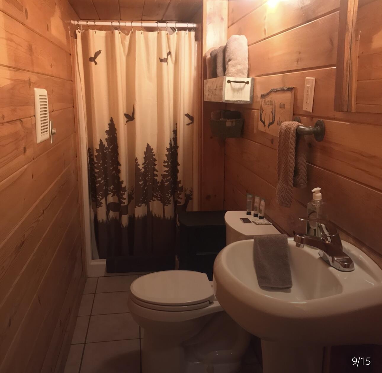 13663 Caberfae Hwy Highway Property Photo 9
