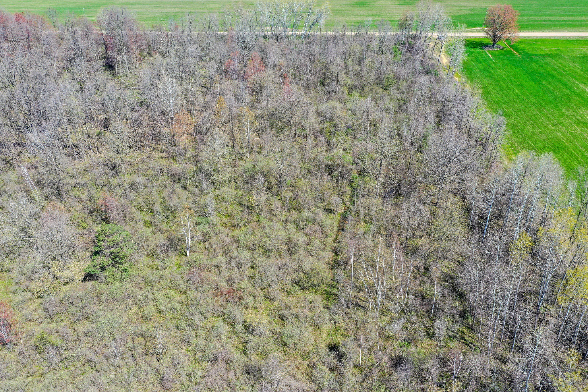 Lot B Ubly Rd Property Photo 4