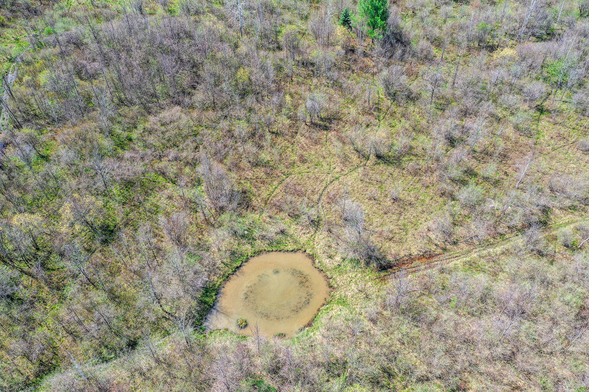 Lot B Ubly Rd Property Photo 5