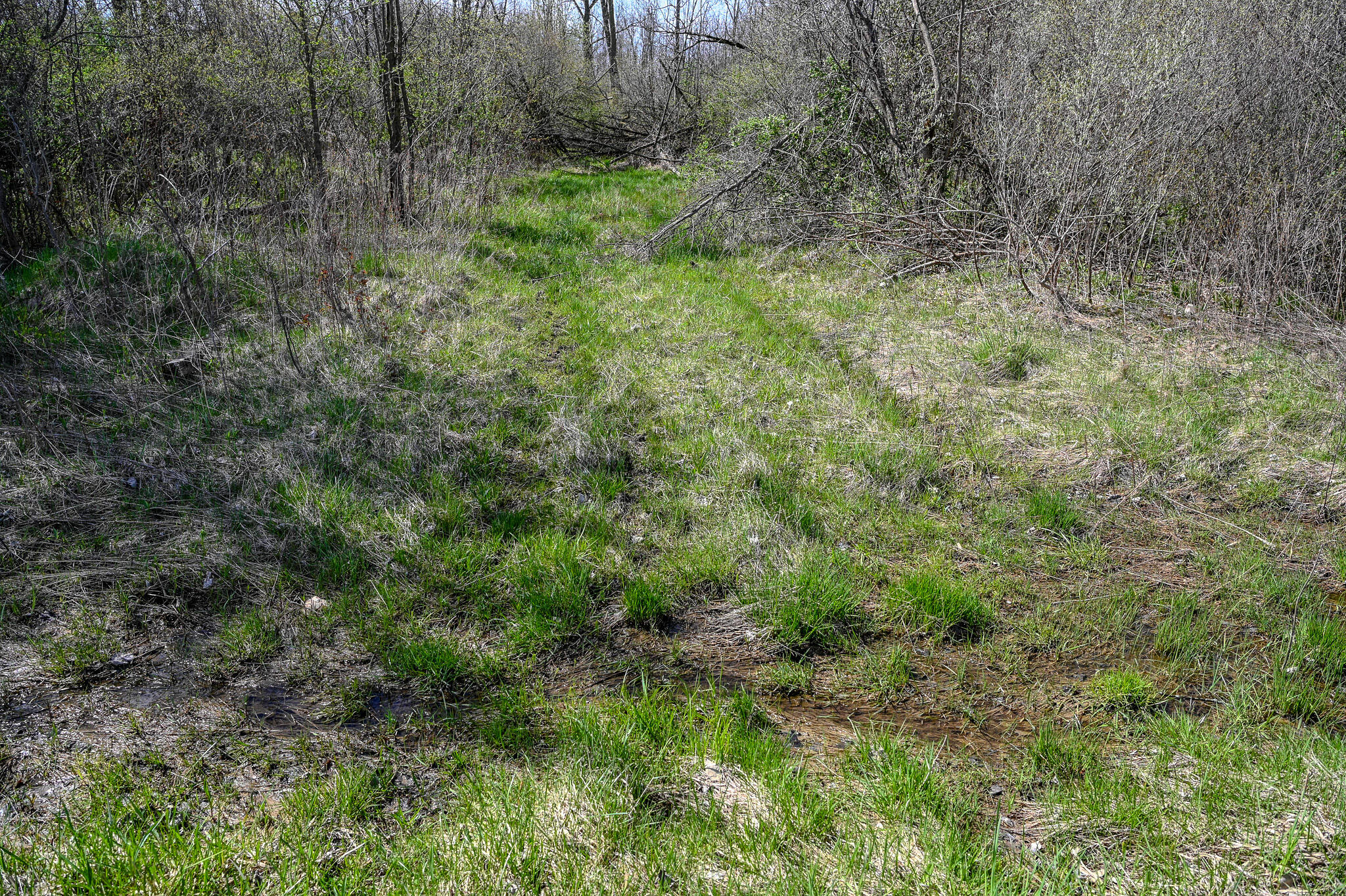 Lot B Ubly Rd Property Photo 12