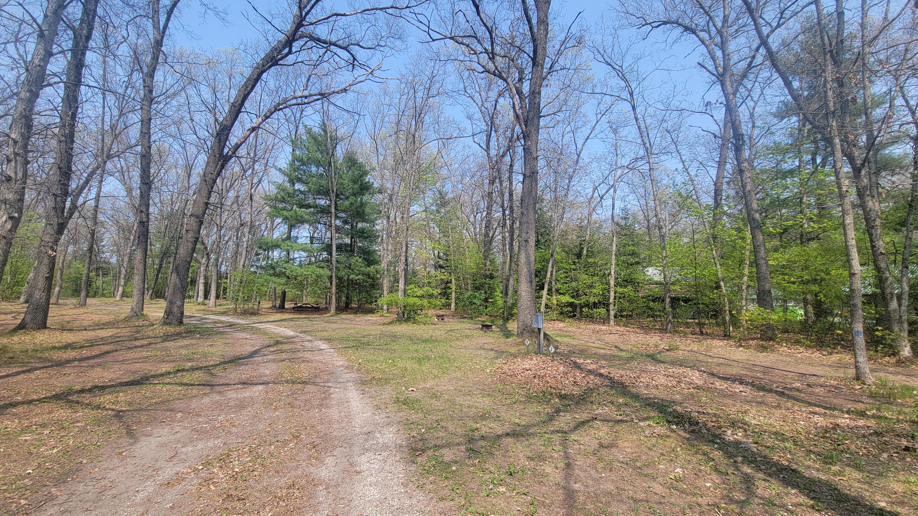 13544 Caberfae Highway Property Photo 17