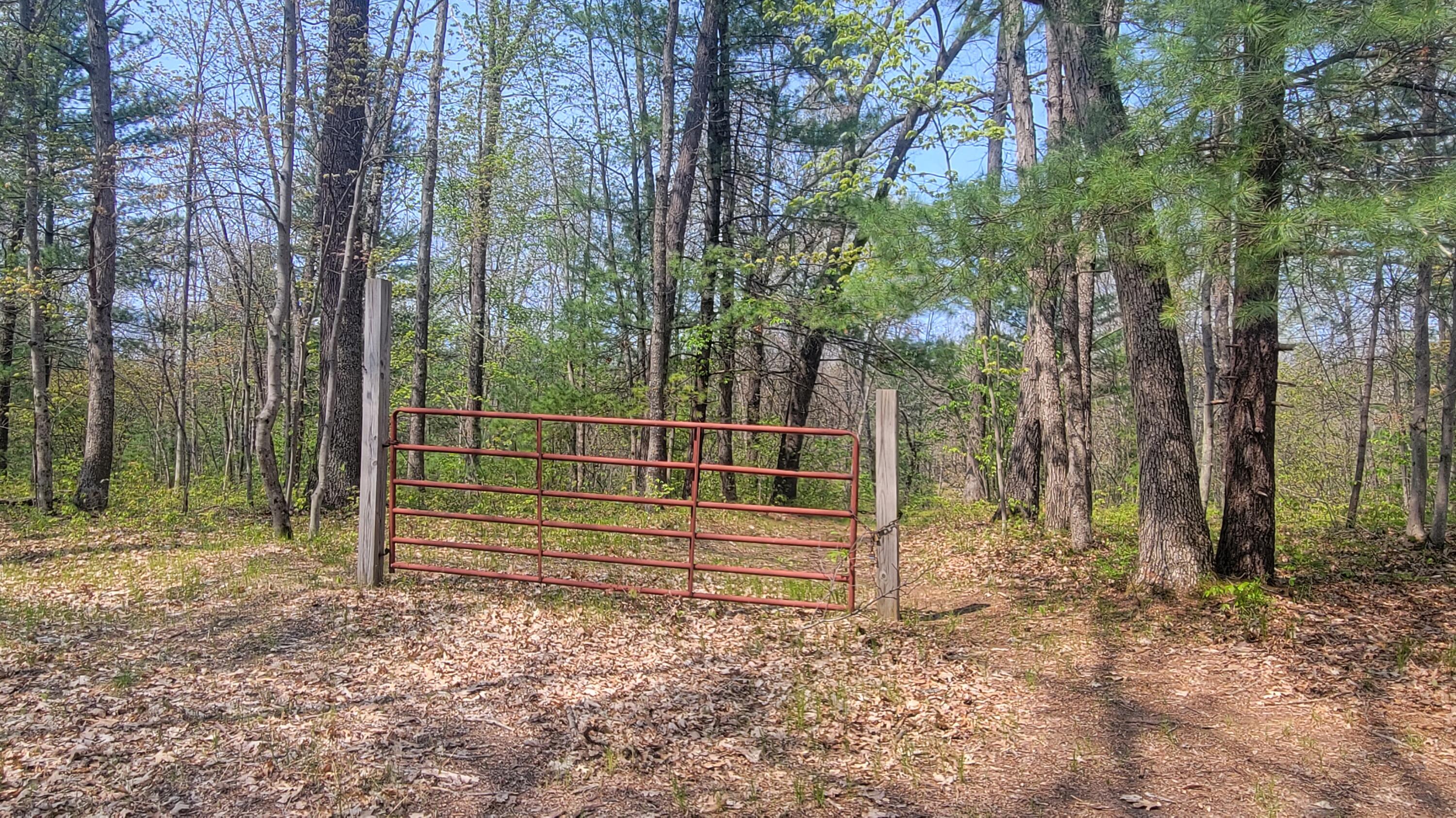 13544 Caberfae Highway Property Photo 23