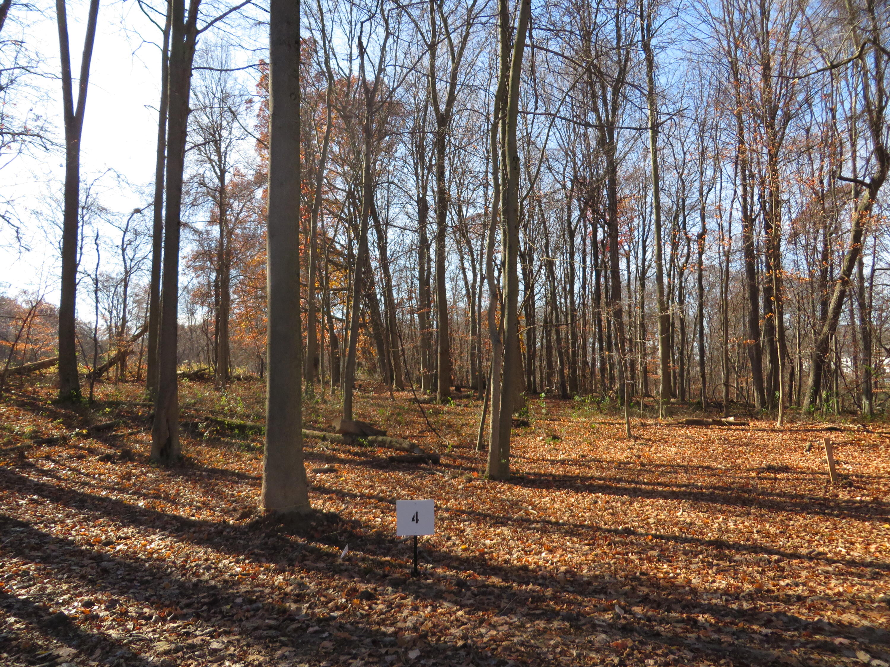 8735 Rainbows End Court Se, Parcel #4 Property Photo