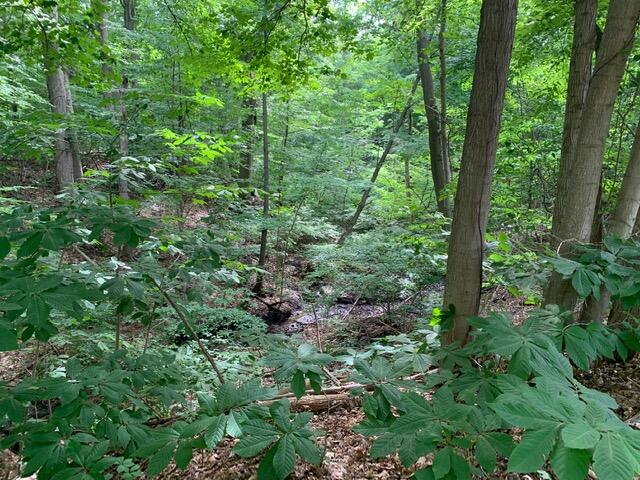 00 S Red Arrow Highway Property Photo